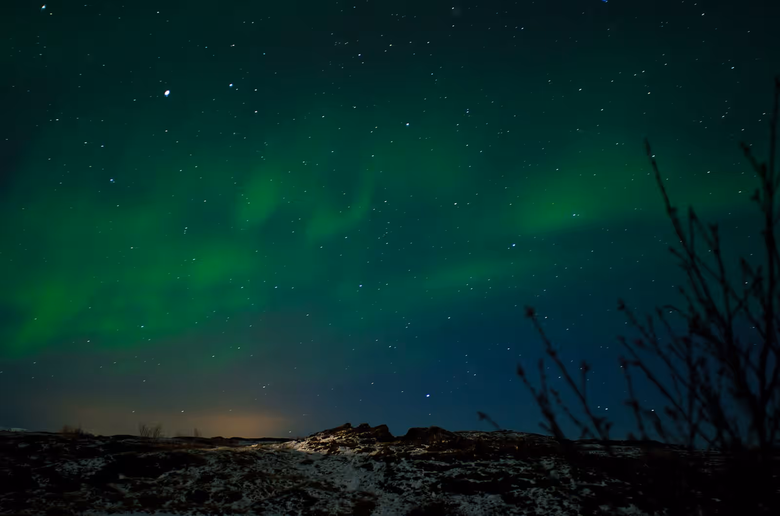 Aurora watching in Þingvellir