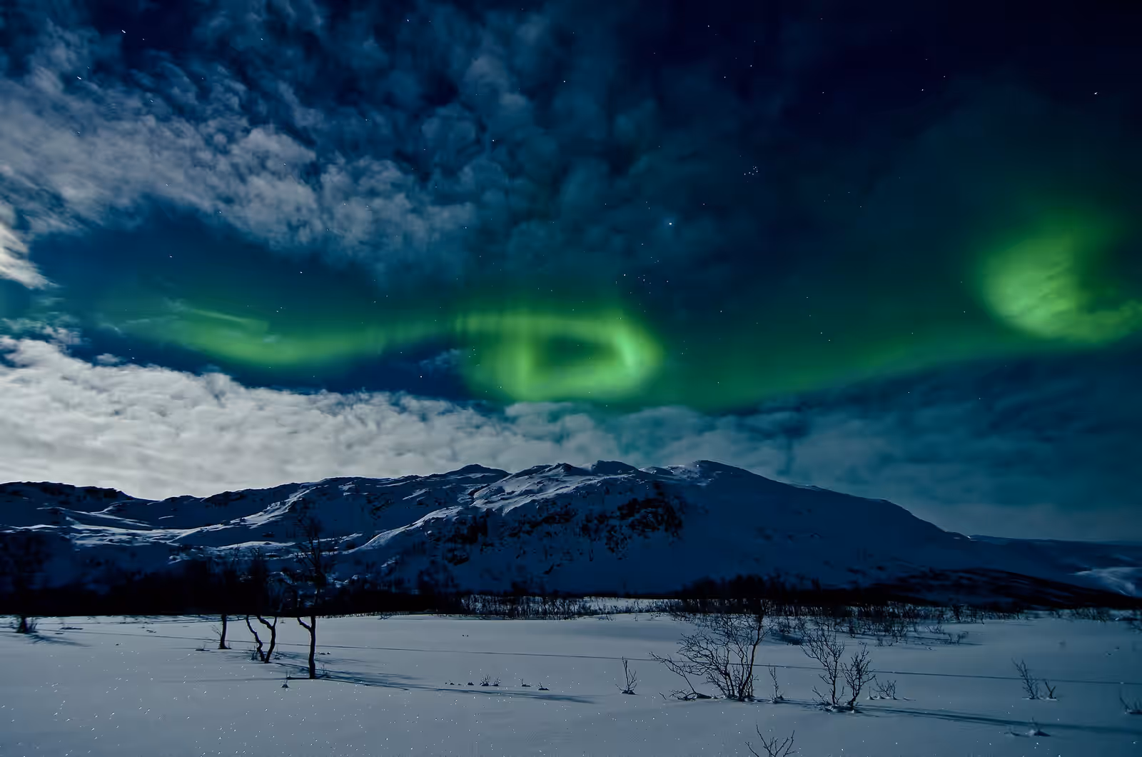 Aurora watching in Tromsø