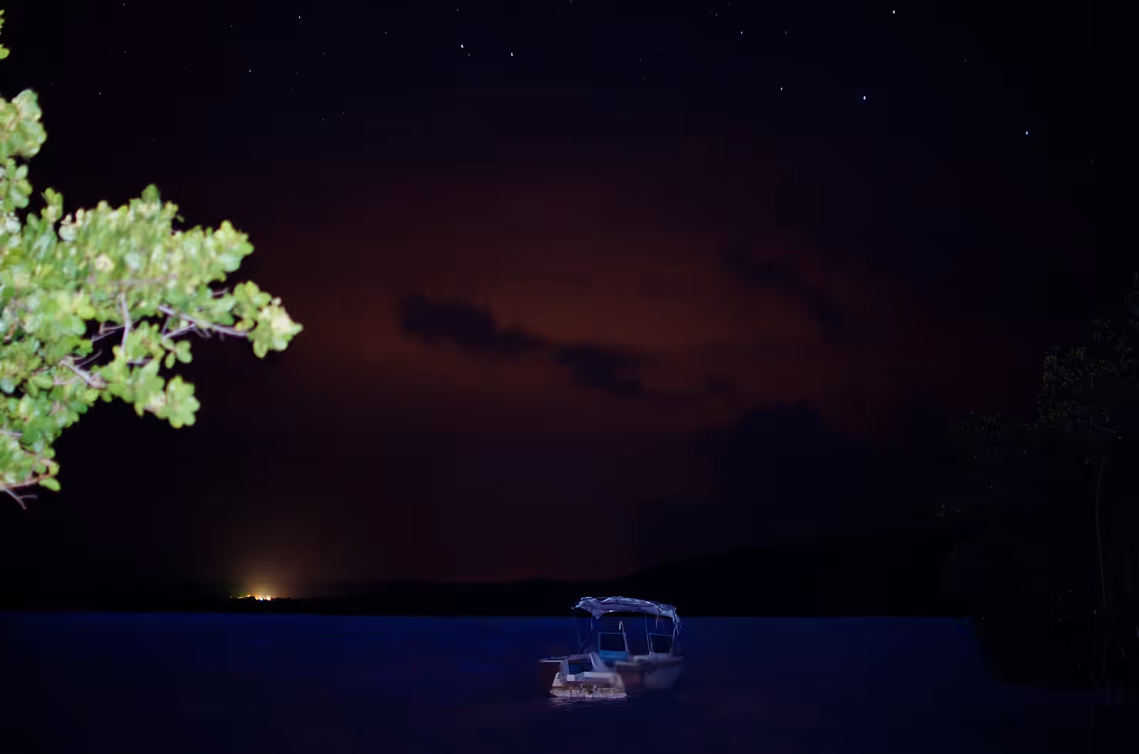 Bioluminescence in Mosquito Bay