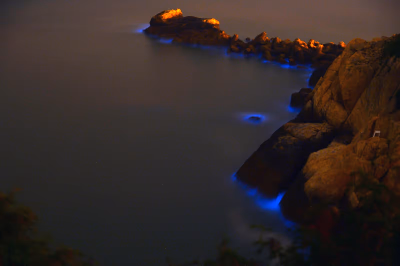 Bioluminescence in the Matsu Islands