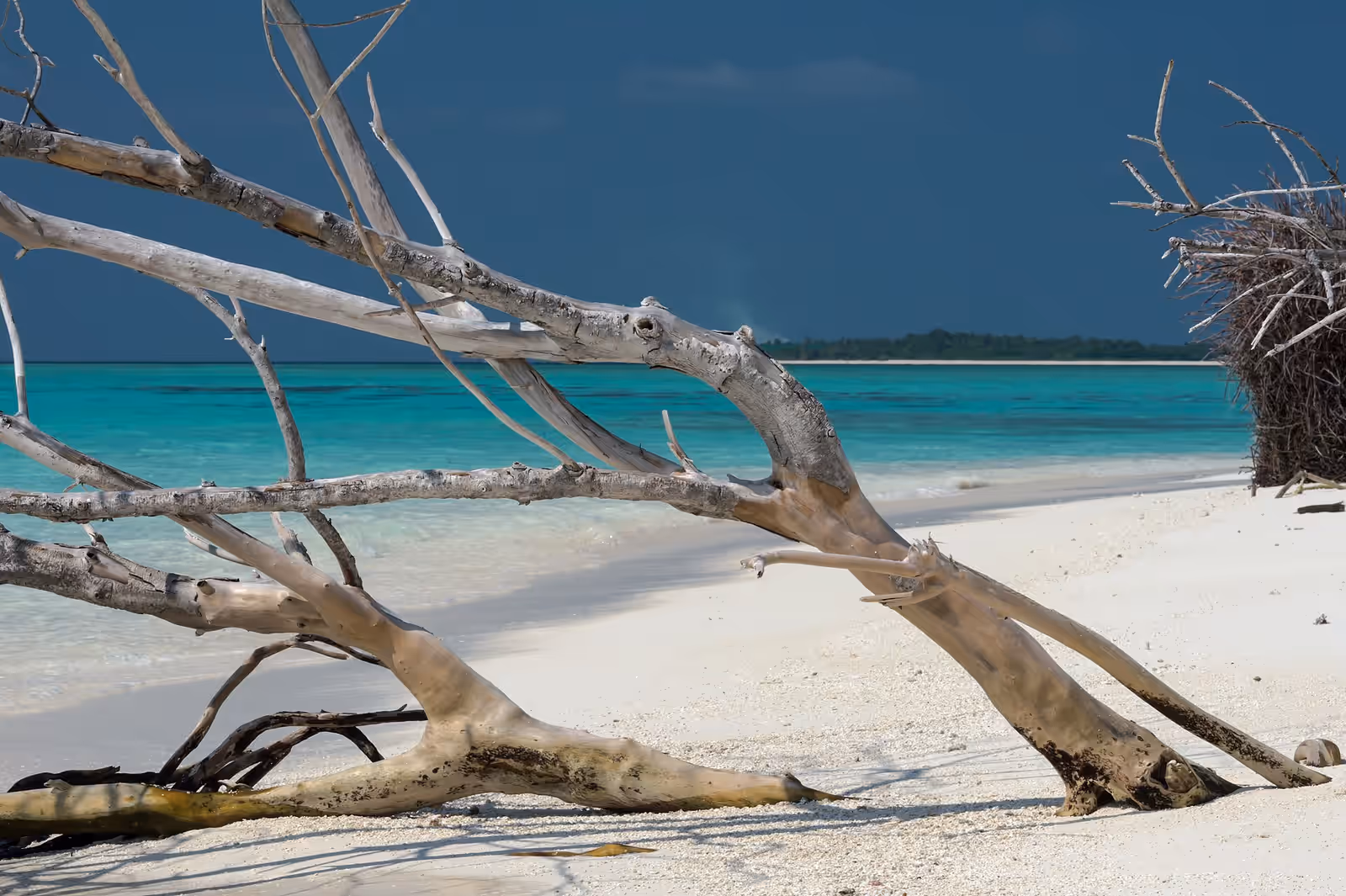 Bioluminescence in Vaadhoo