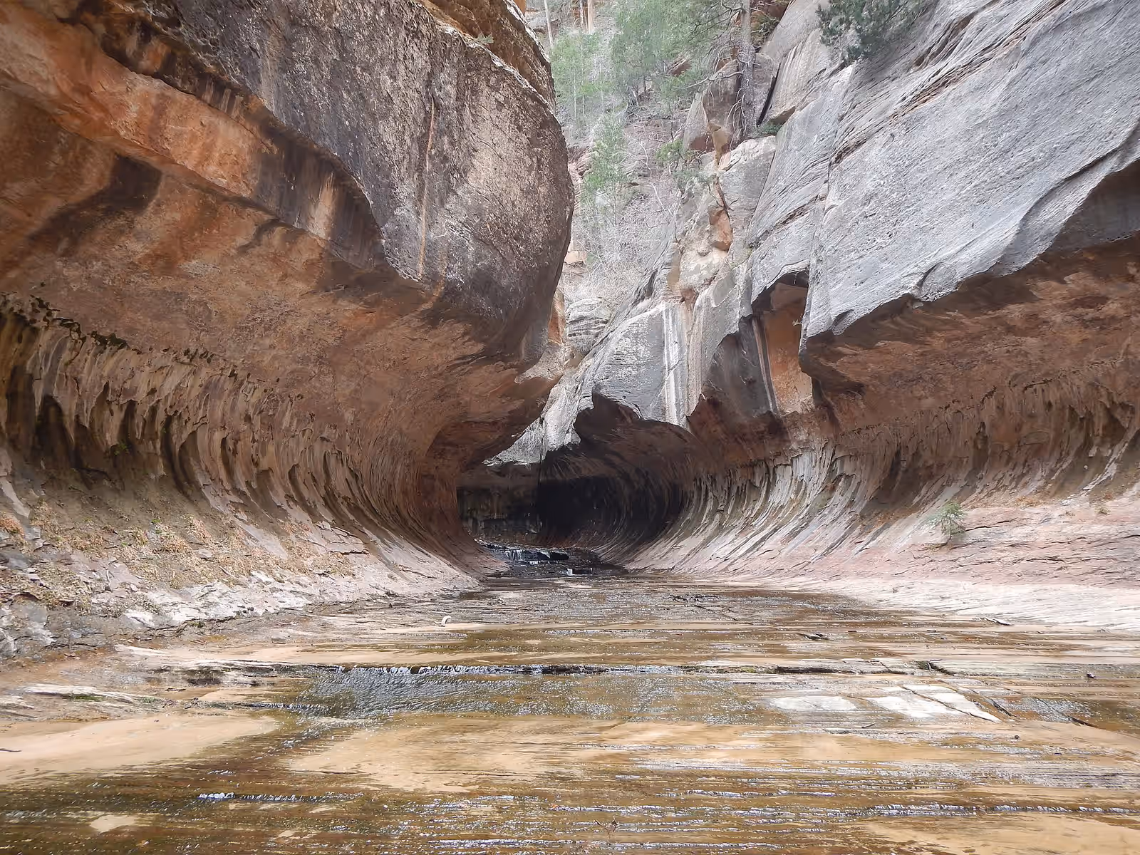 Canyoning in Zion