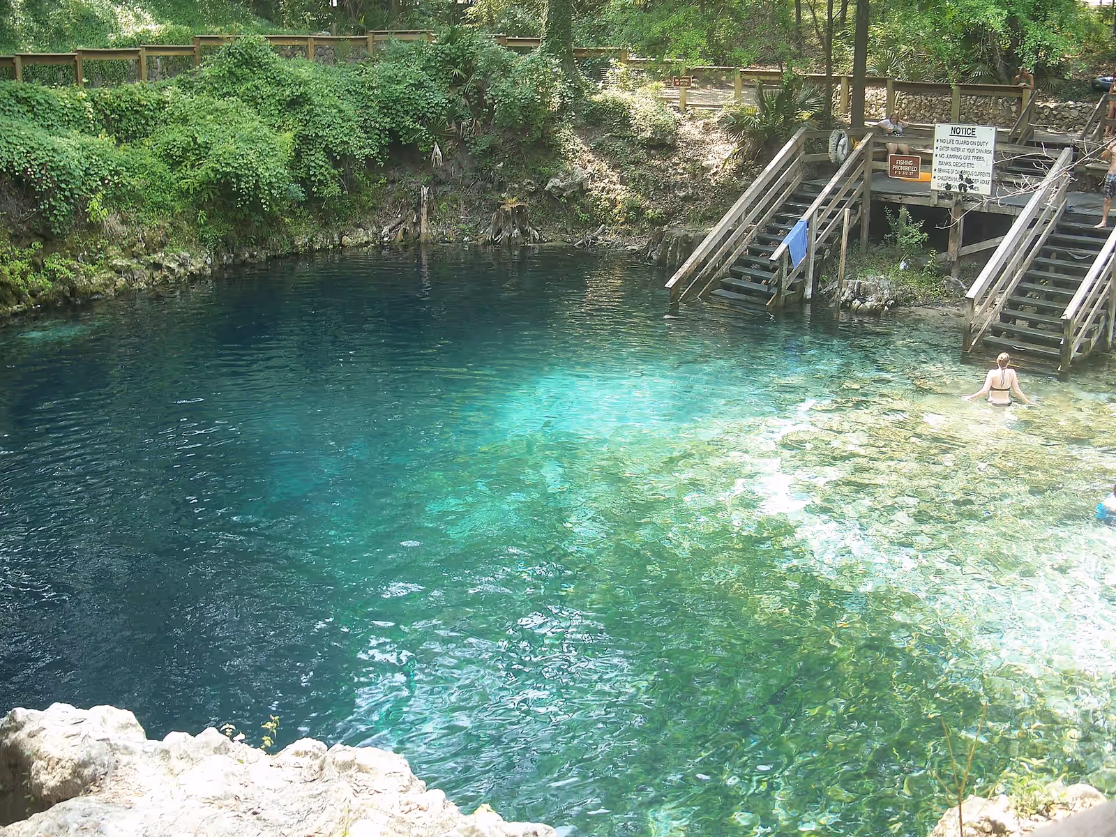 Cave diving in the North Florida springs