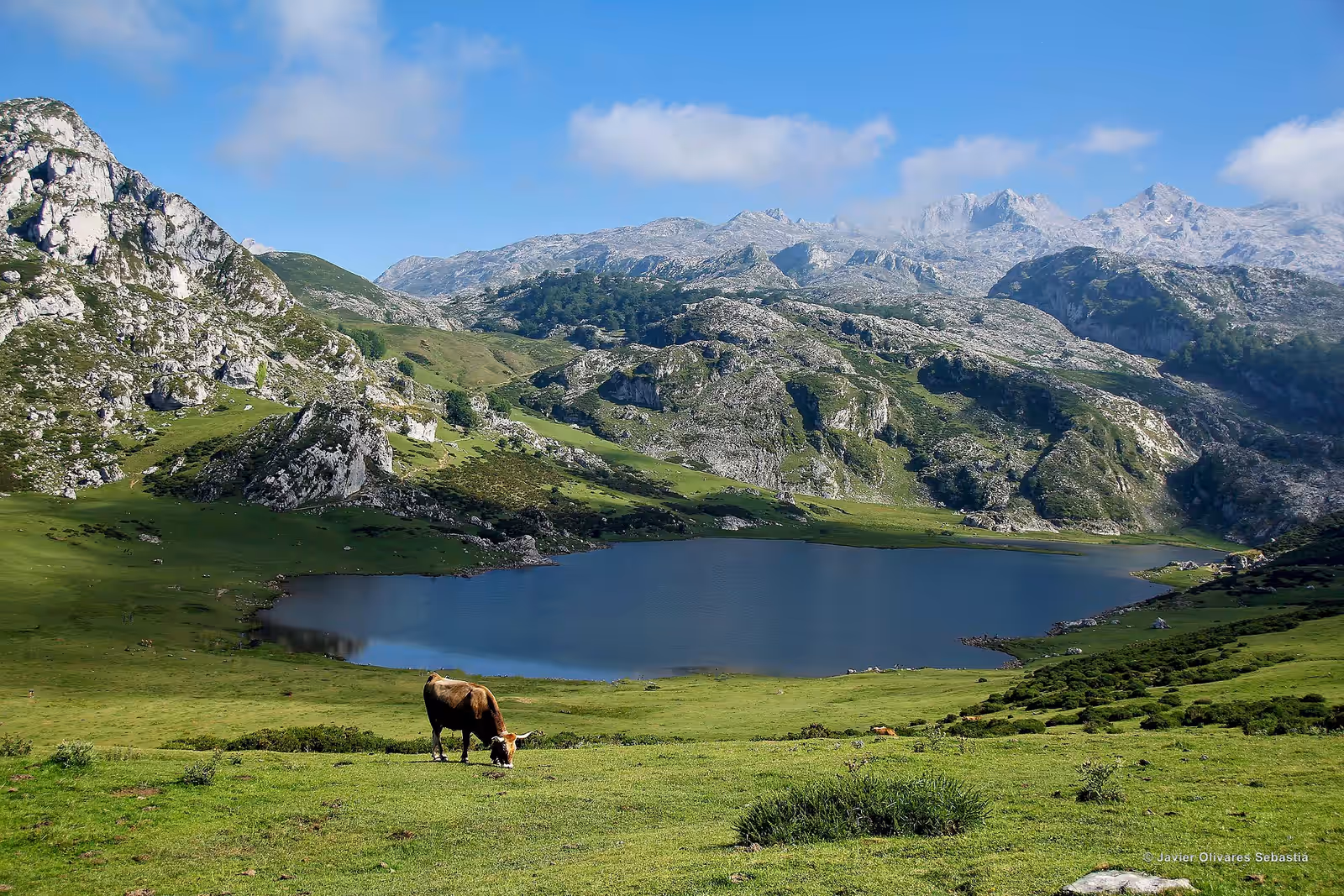 Cycling in Asturias
