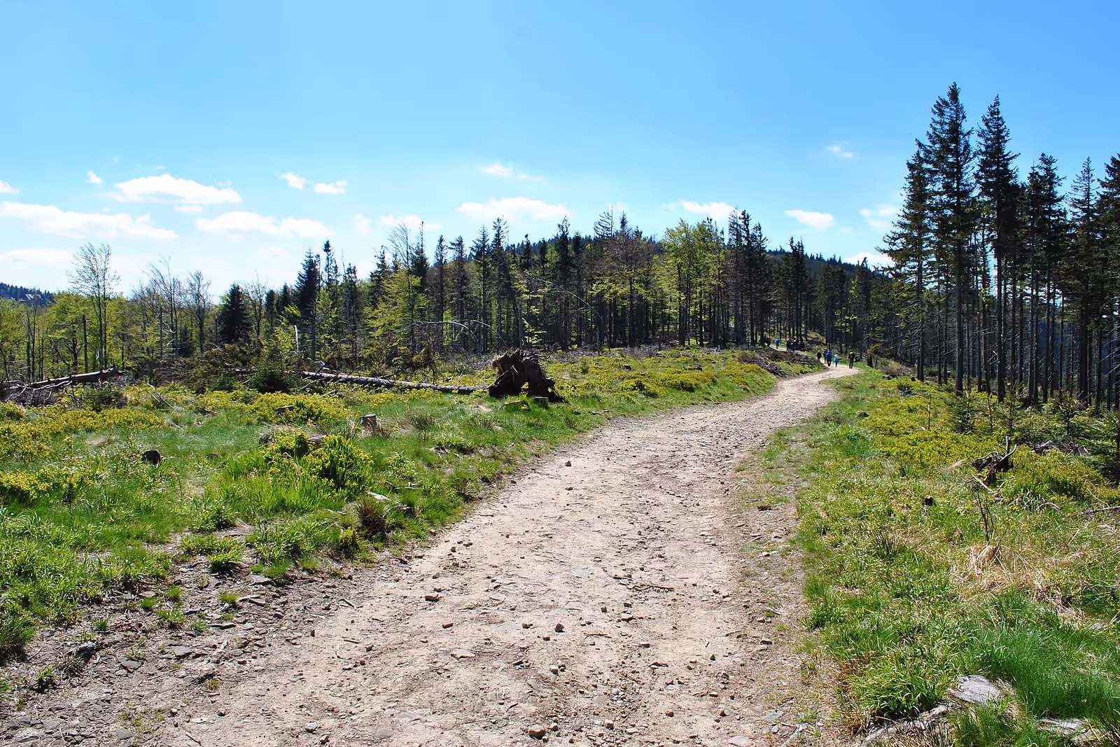 Cycling in Beskid Śląski
