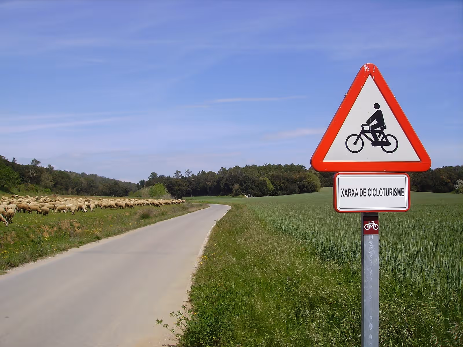 Cycling in Girona