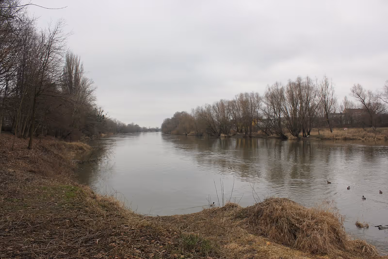 Cycling in the Oder