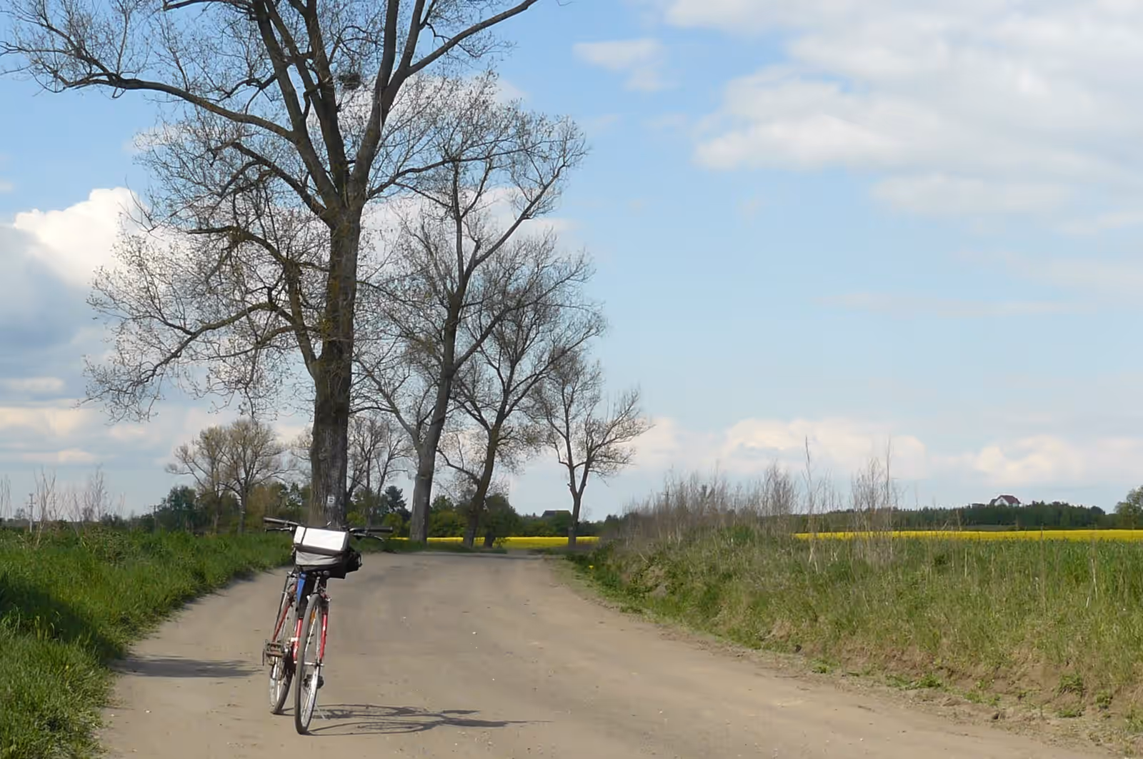 Cycling in the Transwielkopolska Trail