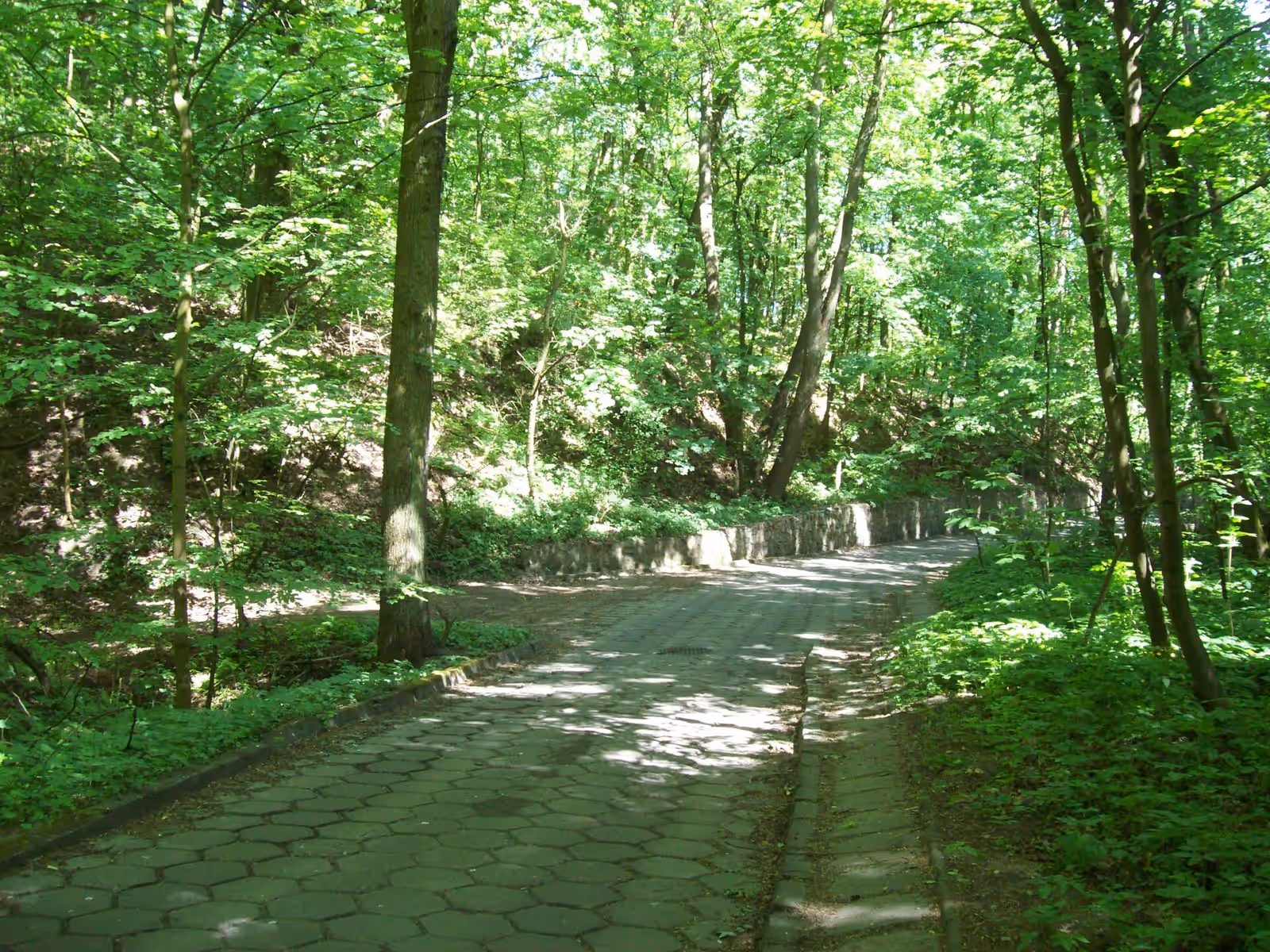 Cycling in the Wielkopolska National Park