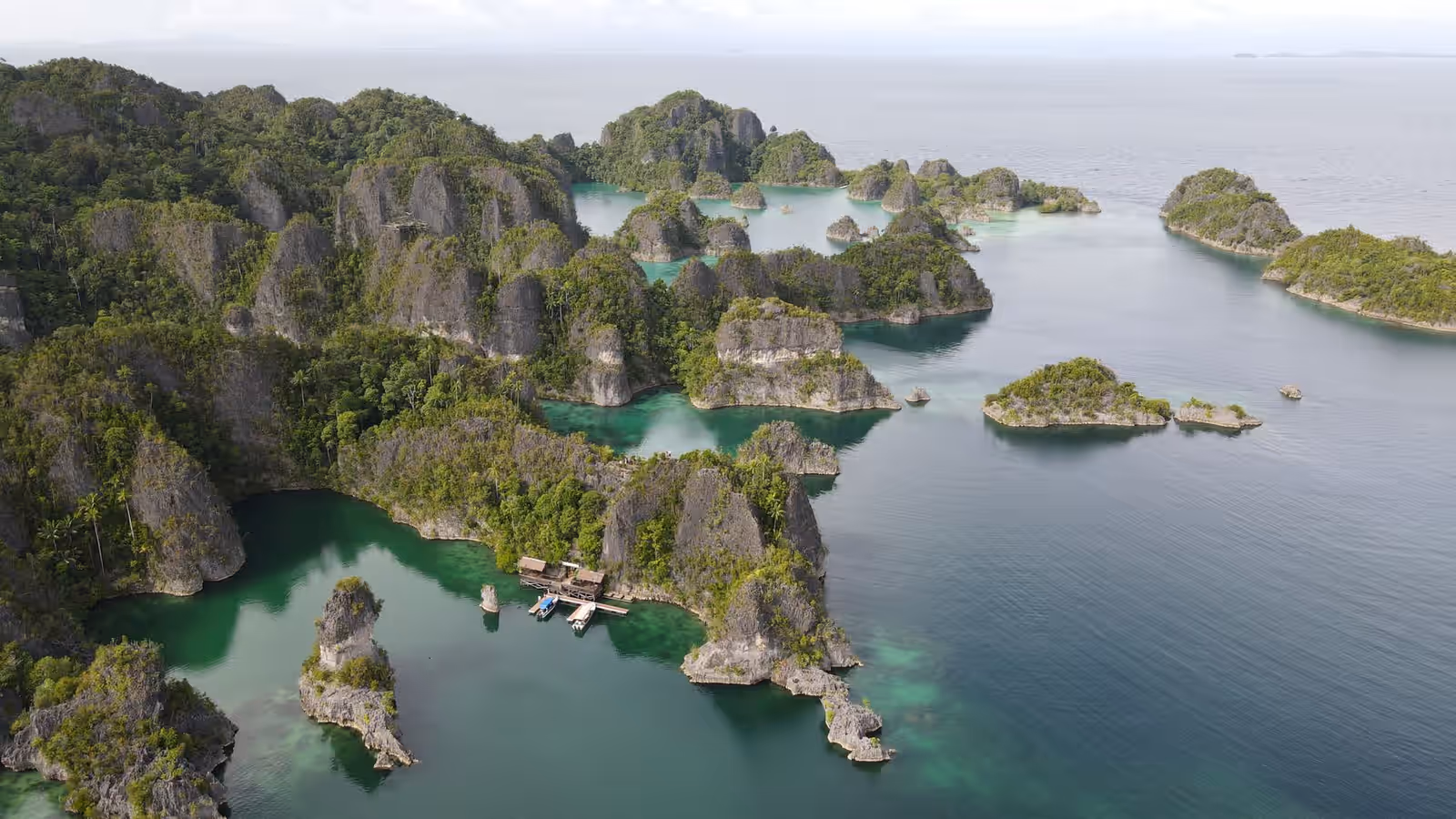 Diving in Raja Ampat