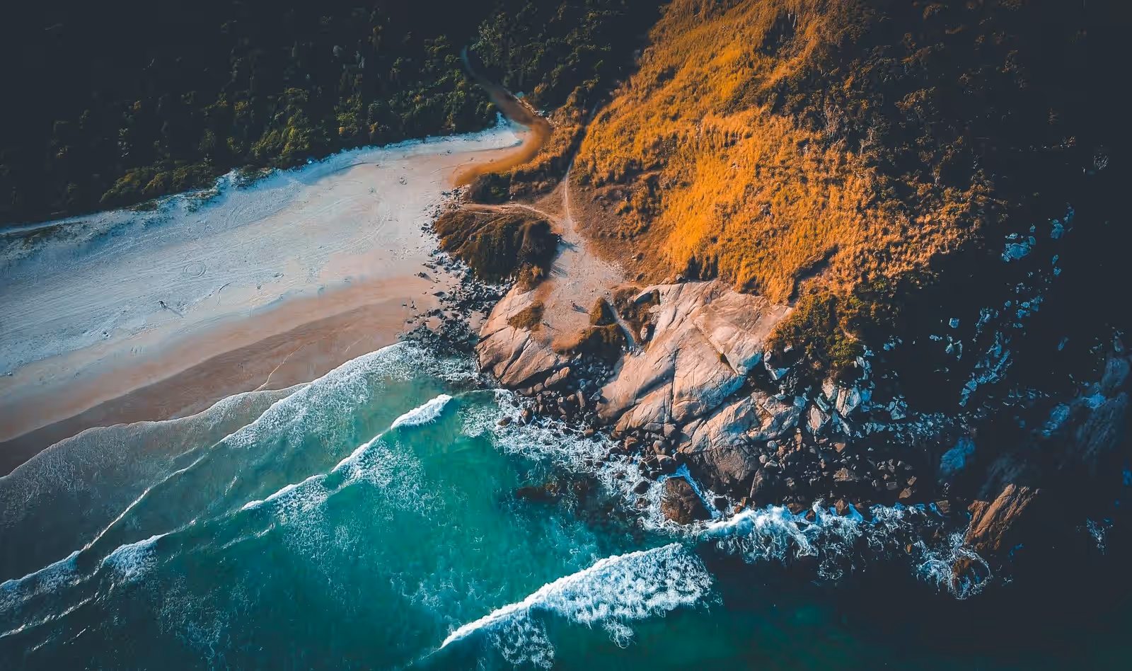 Diving in Wild Coast