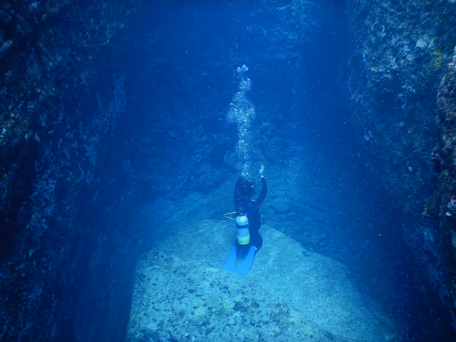 Diving in Yonaguni