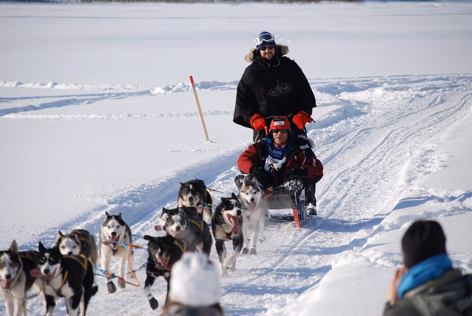 Dog sledding in Finnmark