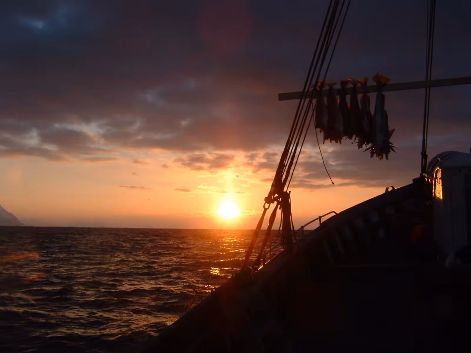 Fishing in Lofoten