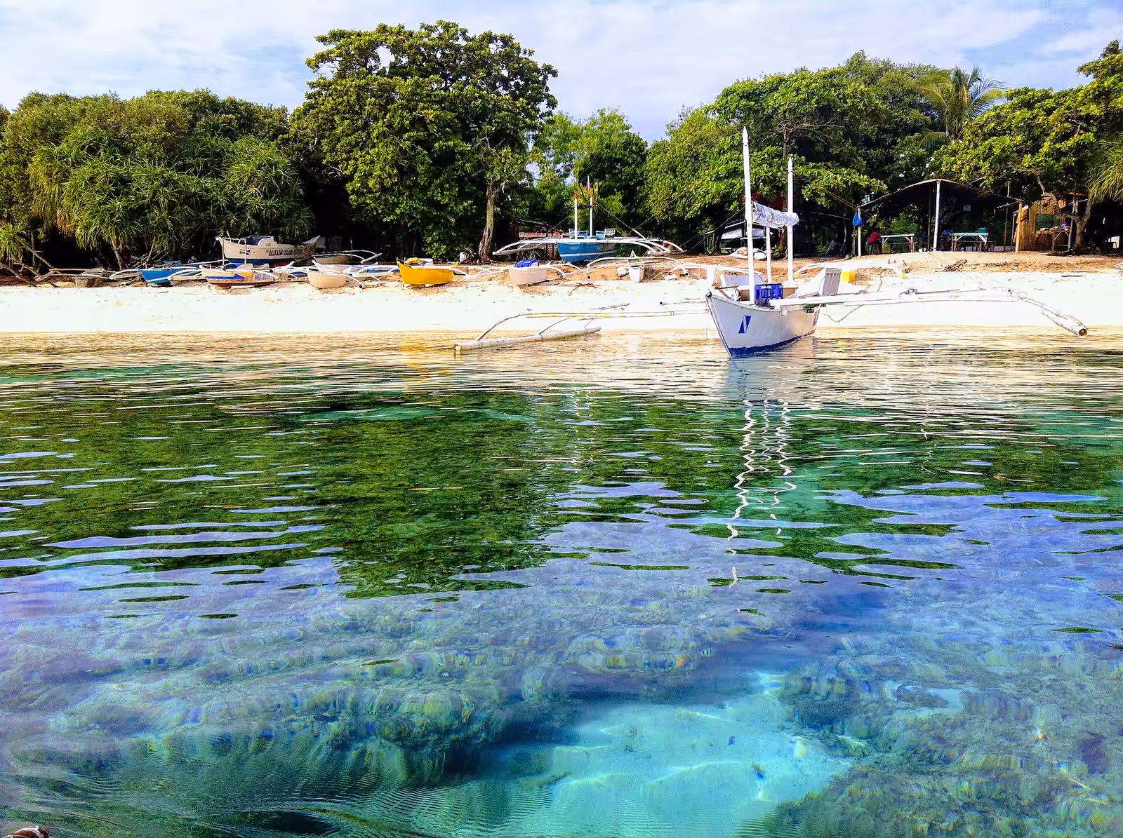 Freediving in Panglao