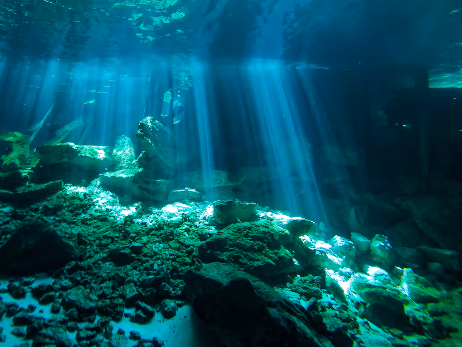 Freediving in the Cenotes