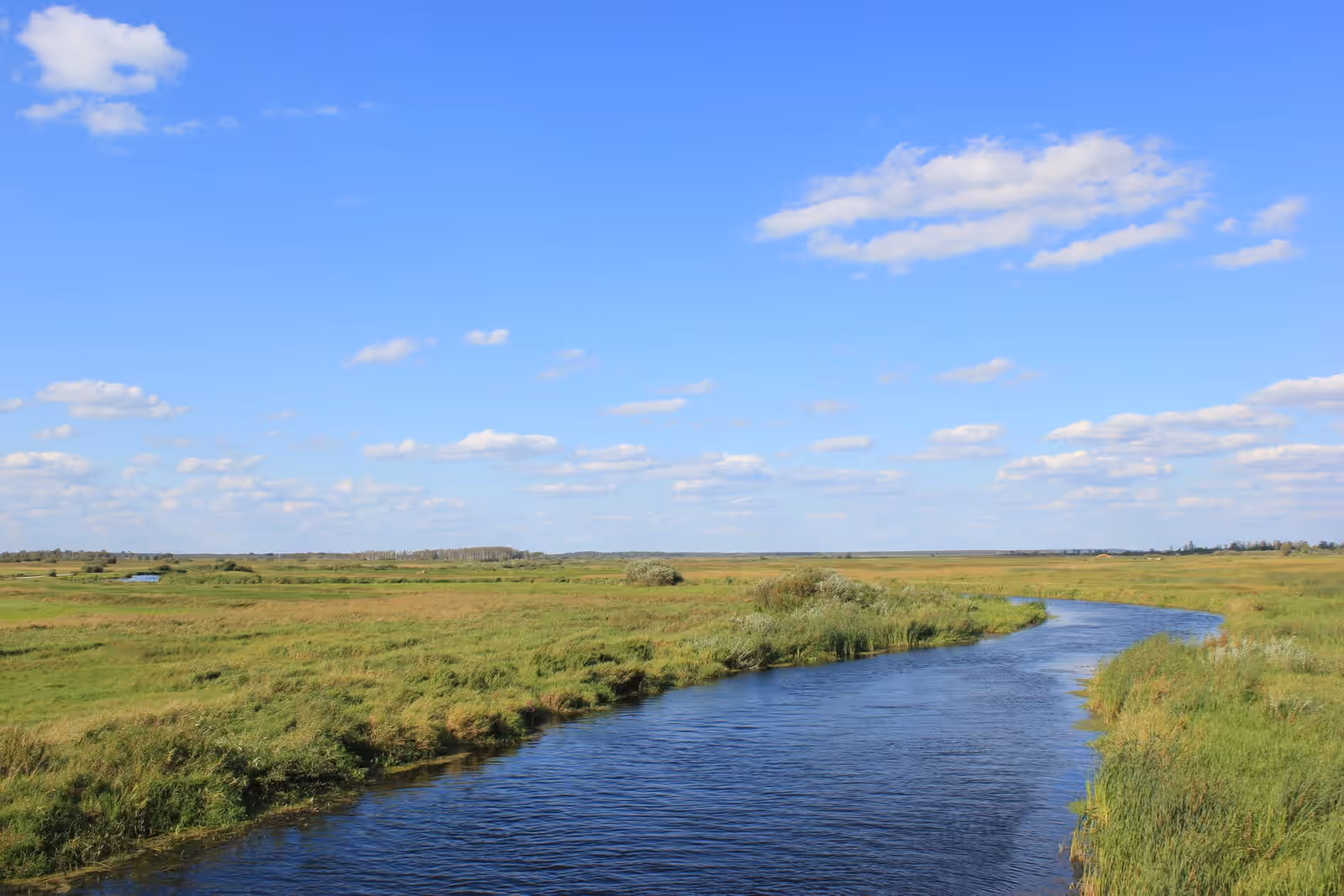 Kayaking in the Biebrza