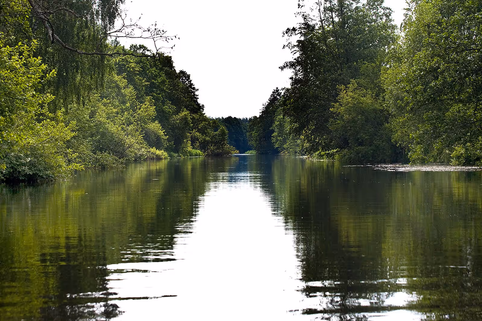 Kayaking in the Bóbr