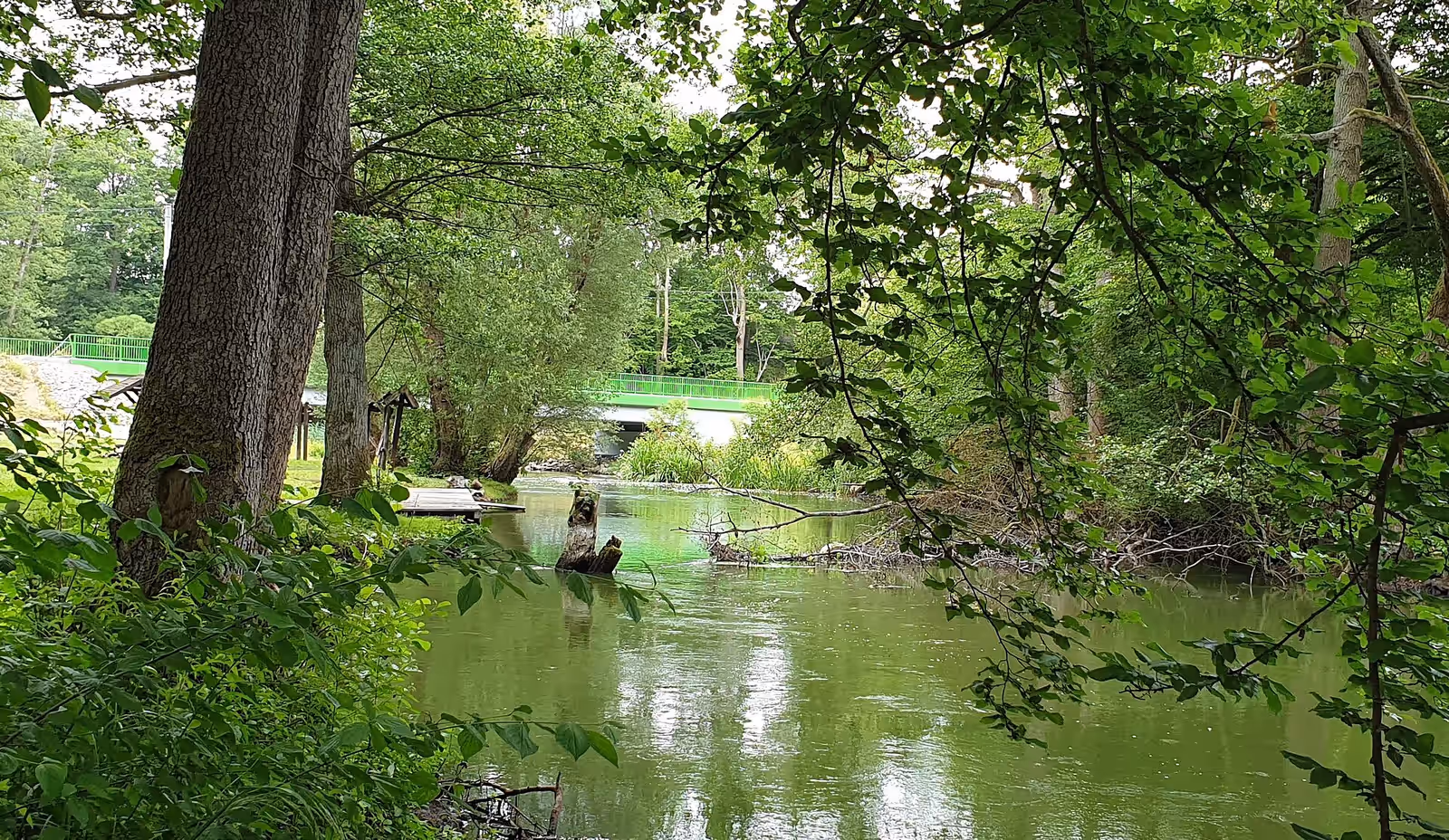 Kayaking in the Drawa