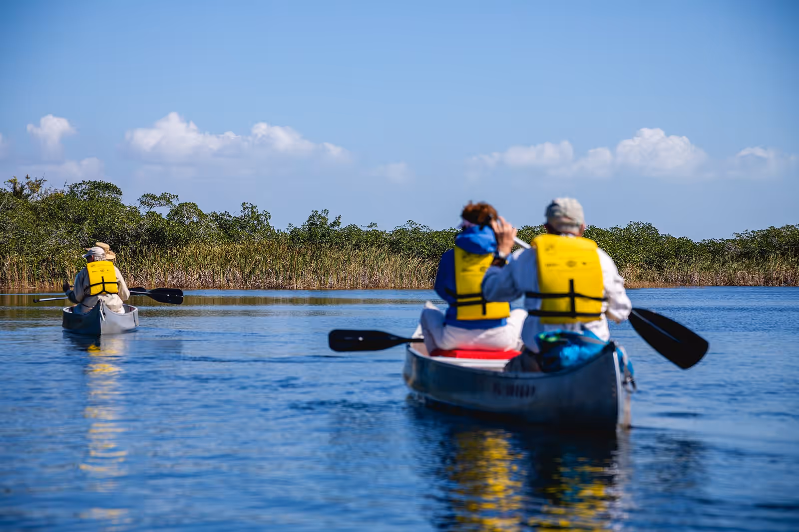 Kayaking in the Everglades