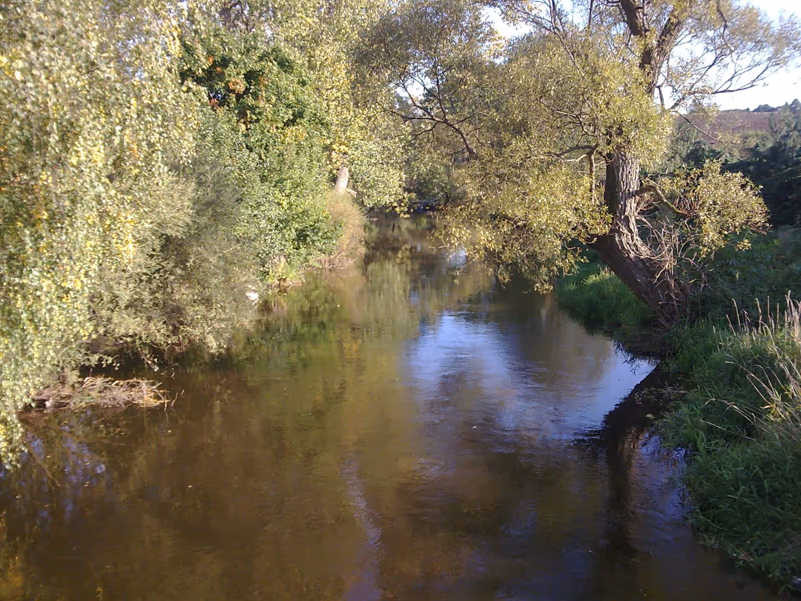 Kayaking in the Gwda