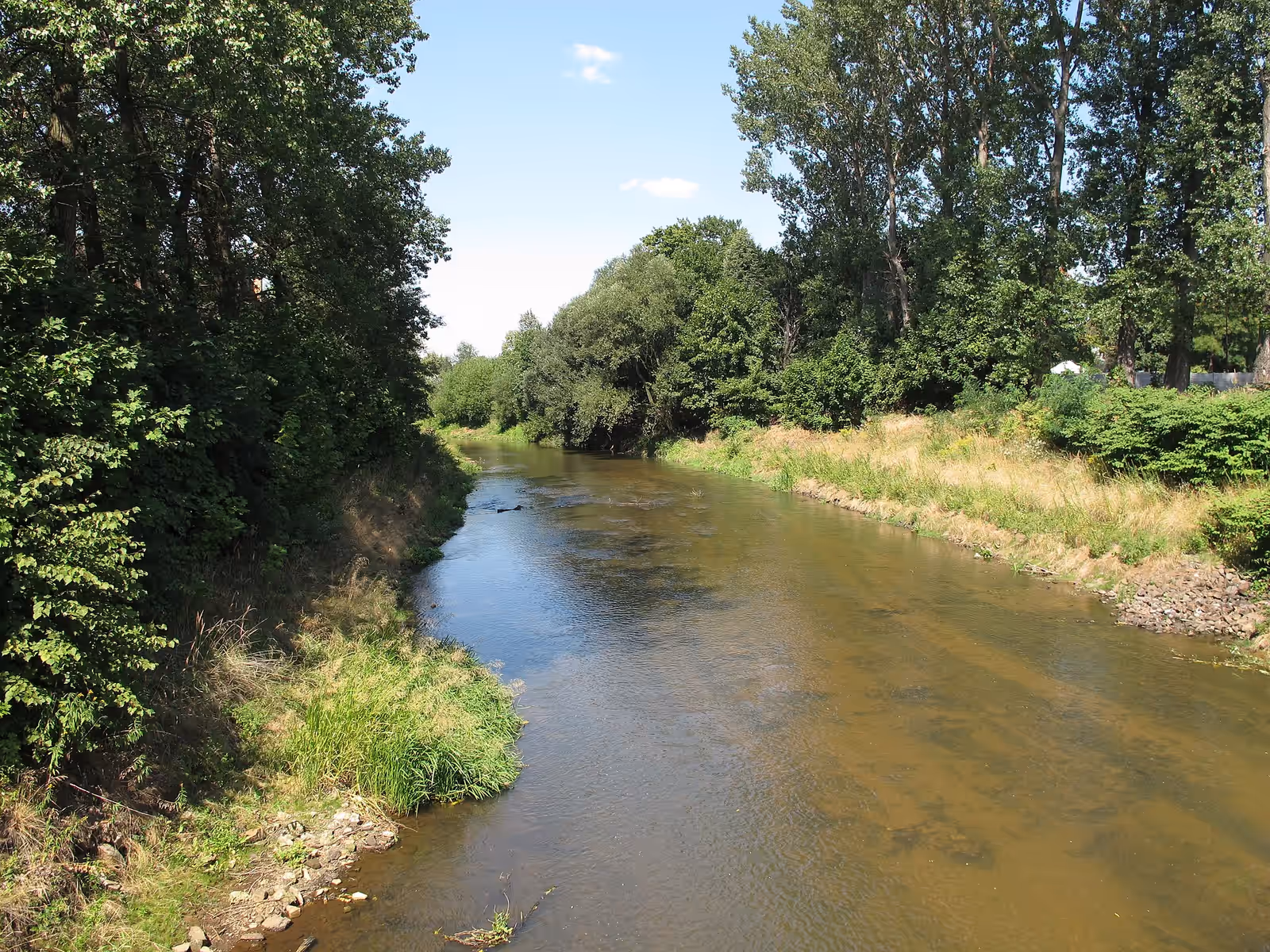 Kayaking in the Mała Panew