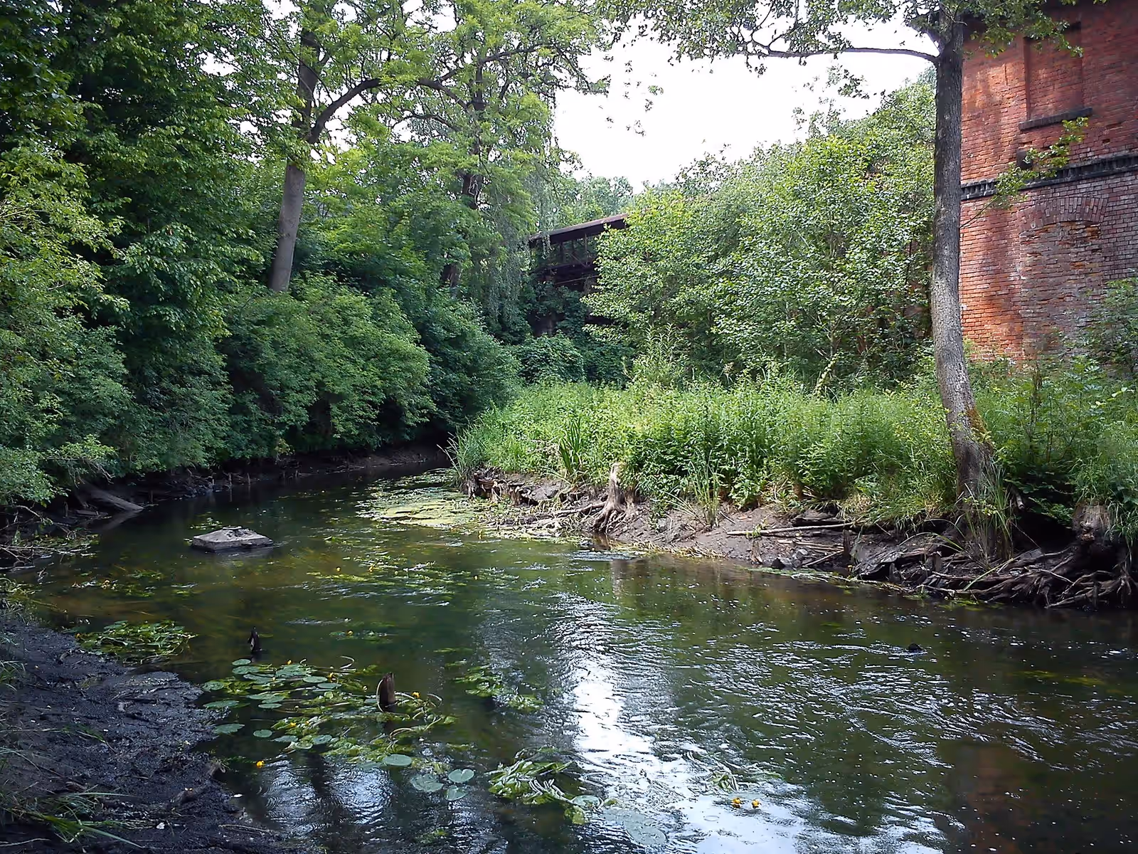 Kayaking in the Pliszka