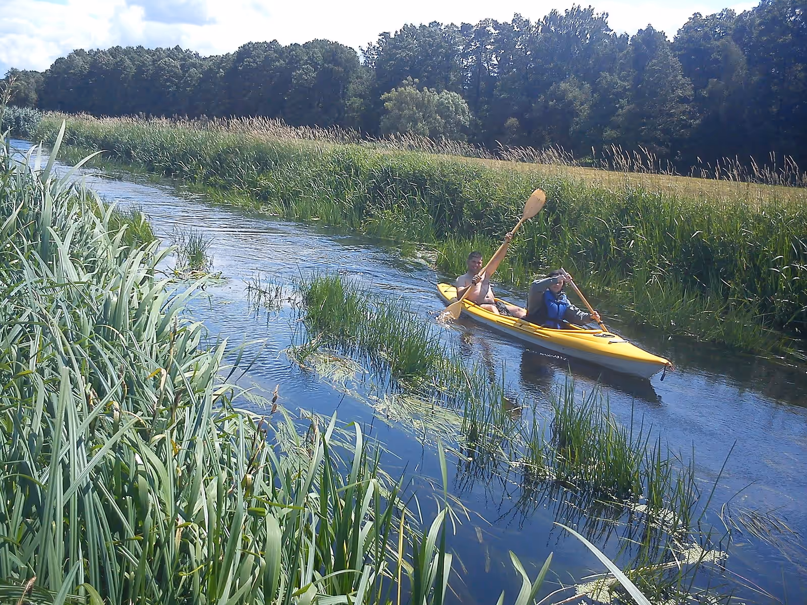 Kayaking in the Wełna