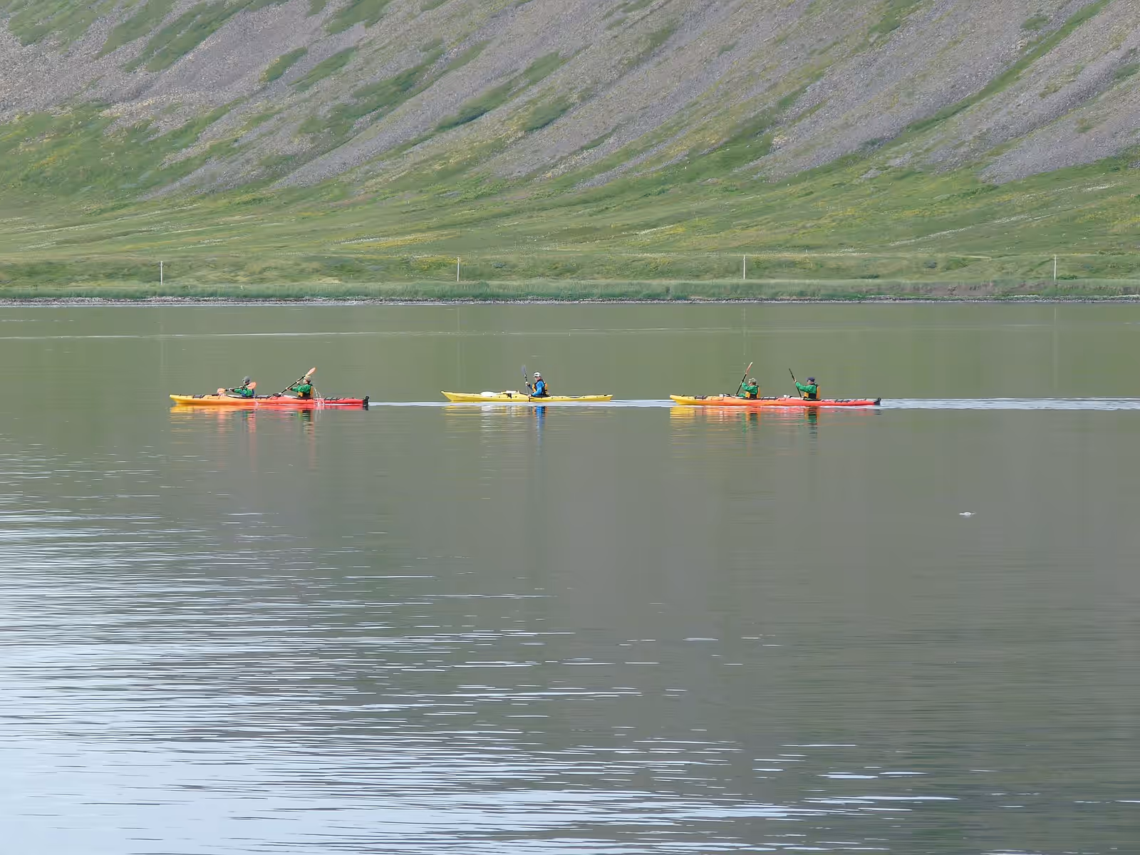 Kayaking in the Westfjords