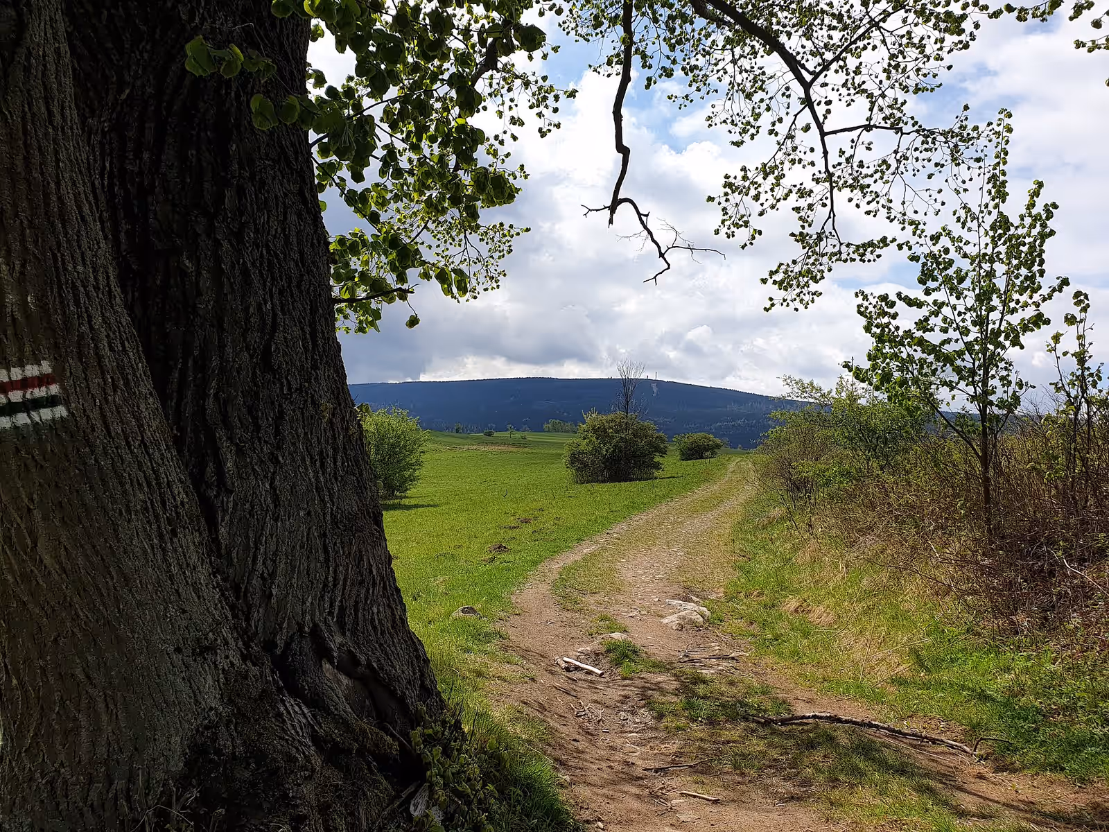 Mountain biking in Góry Sowie