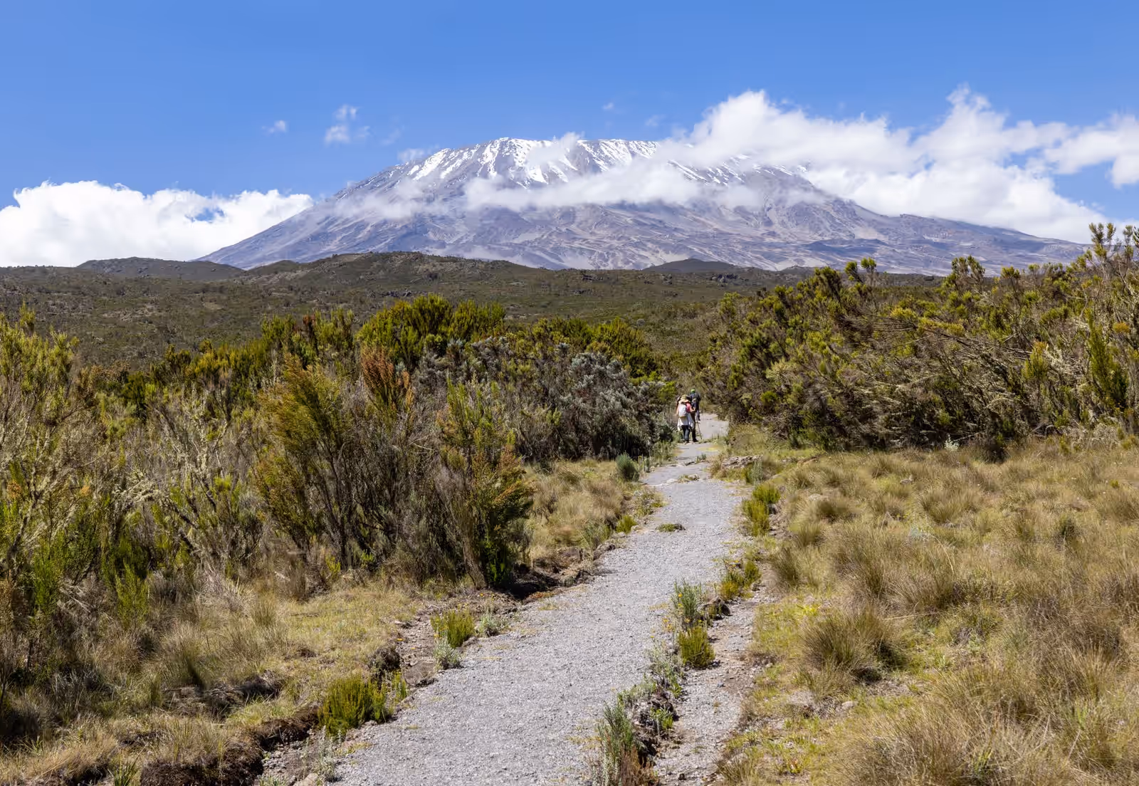 Mountaineering in Kilimanjaro