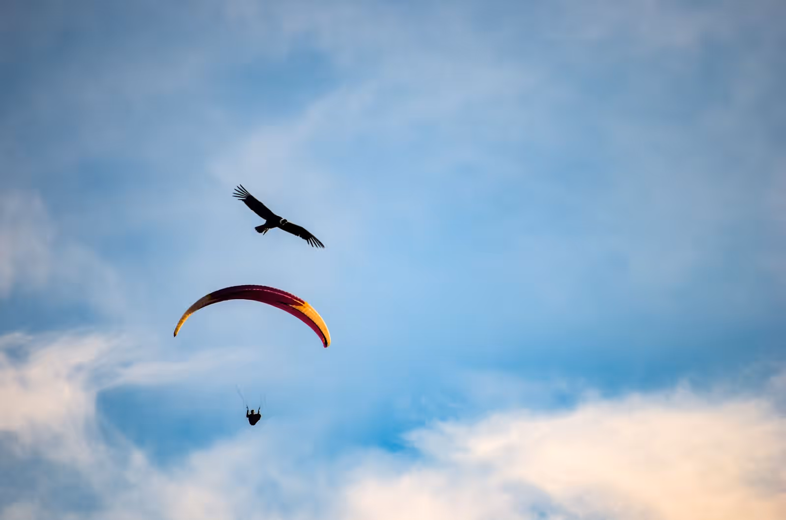 Paragliding in Zakopane