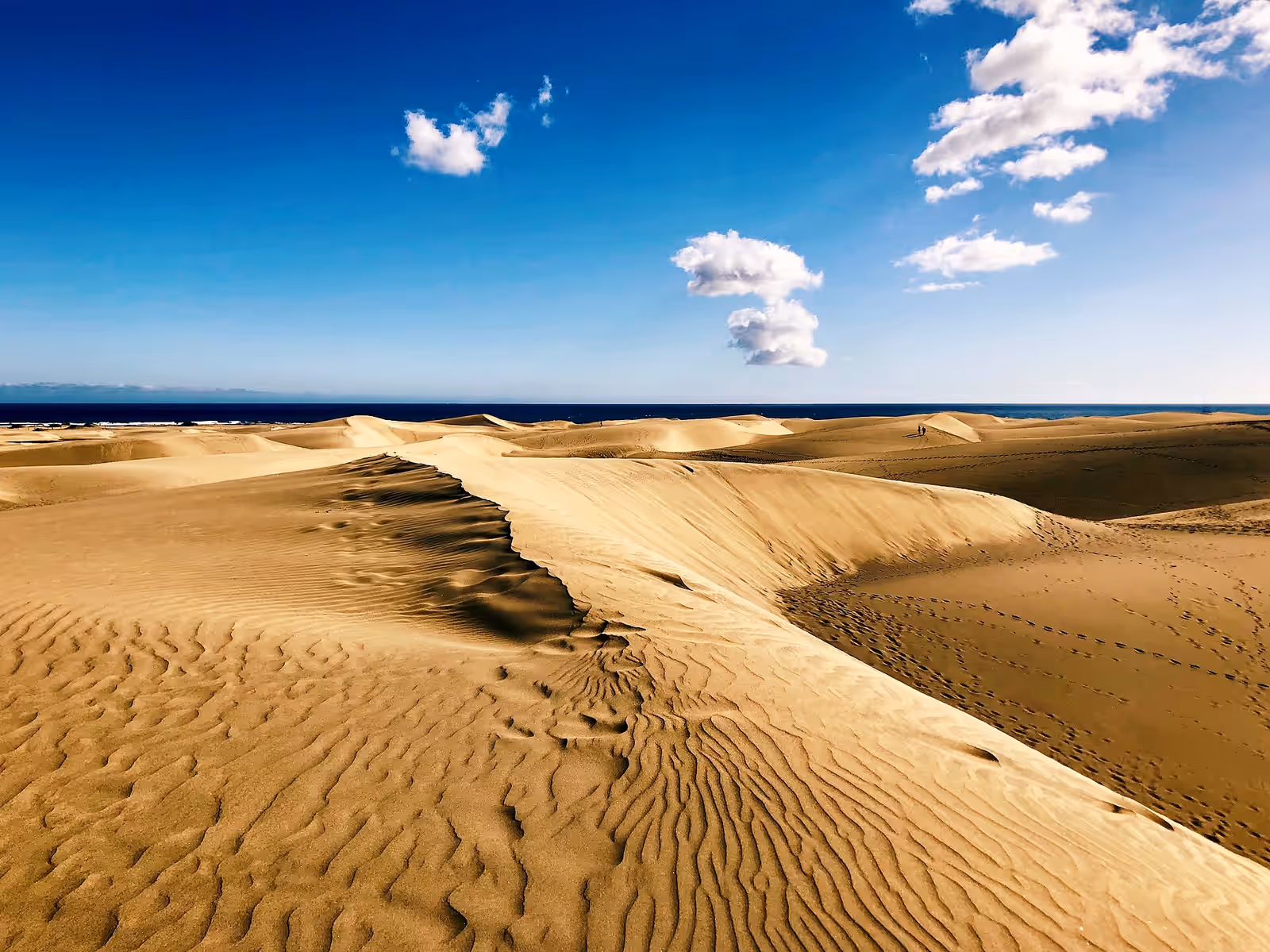 Sandboarding in Maspalomas