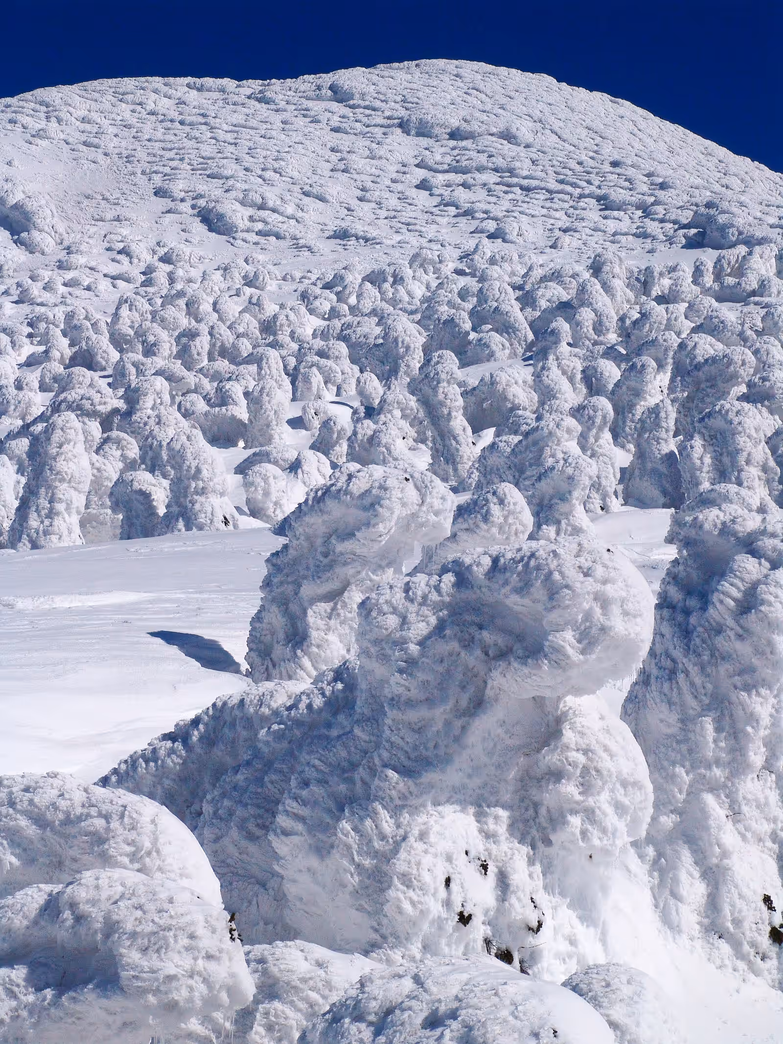 Ski touring in Hakkoda Mountains