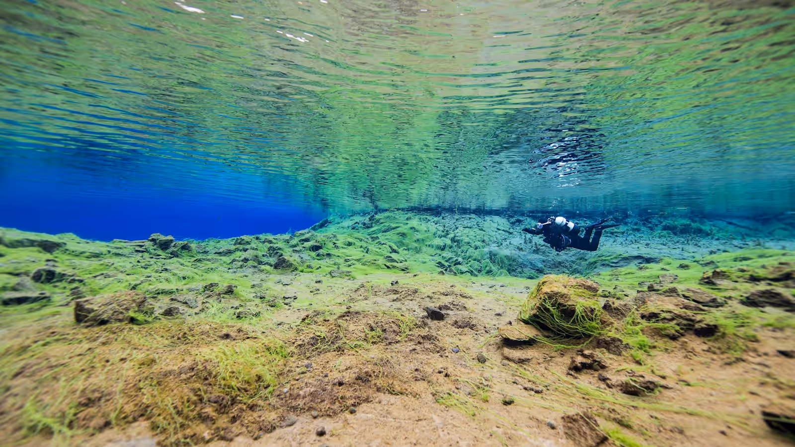 Snorkelling in Þingvellir