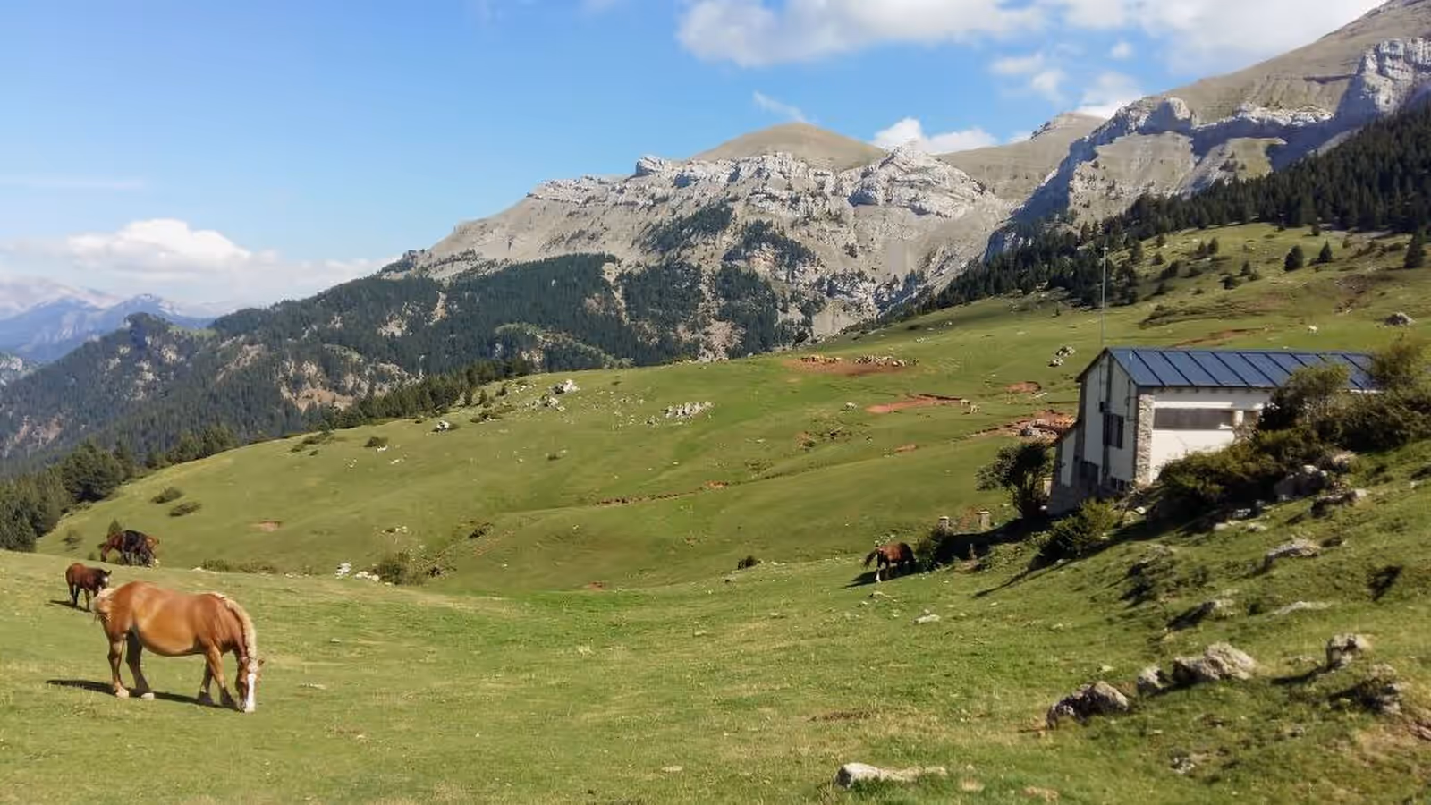 Trail running in Cadí-Moixeró