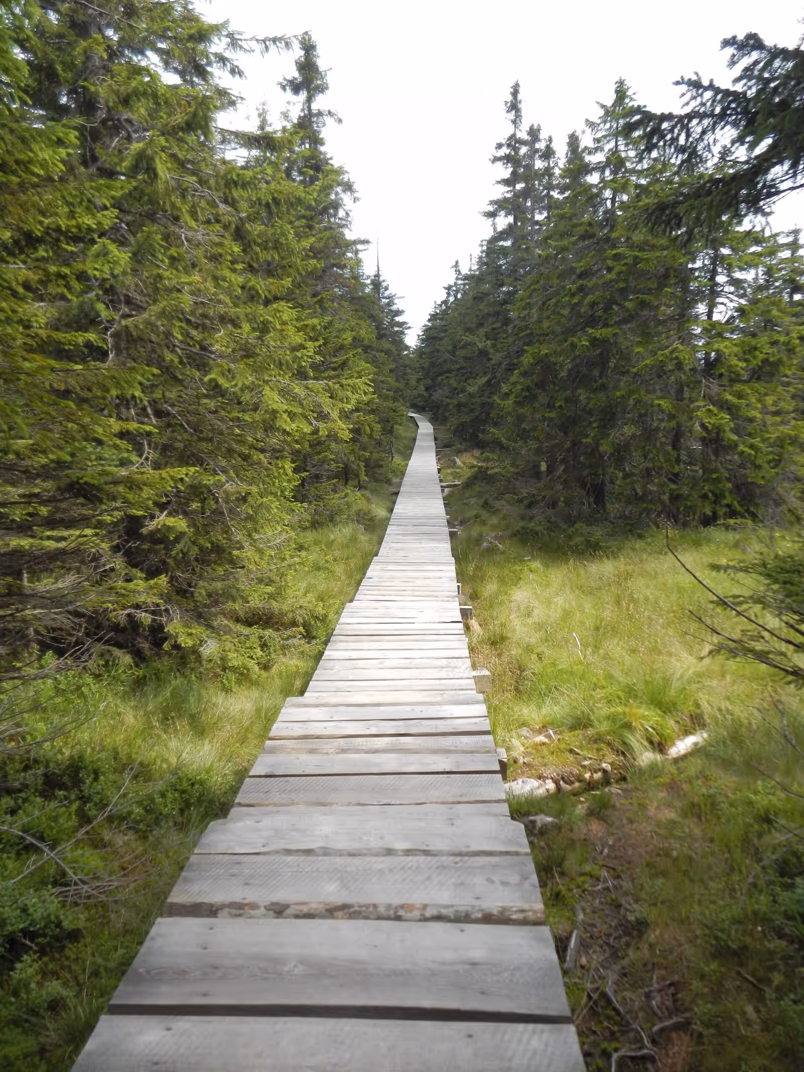 Trail running in Karkonosze