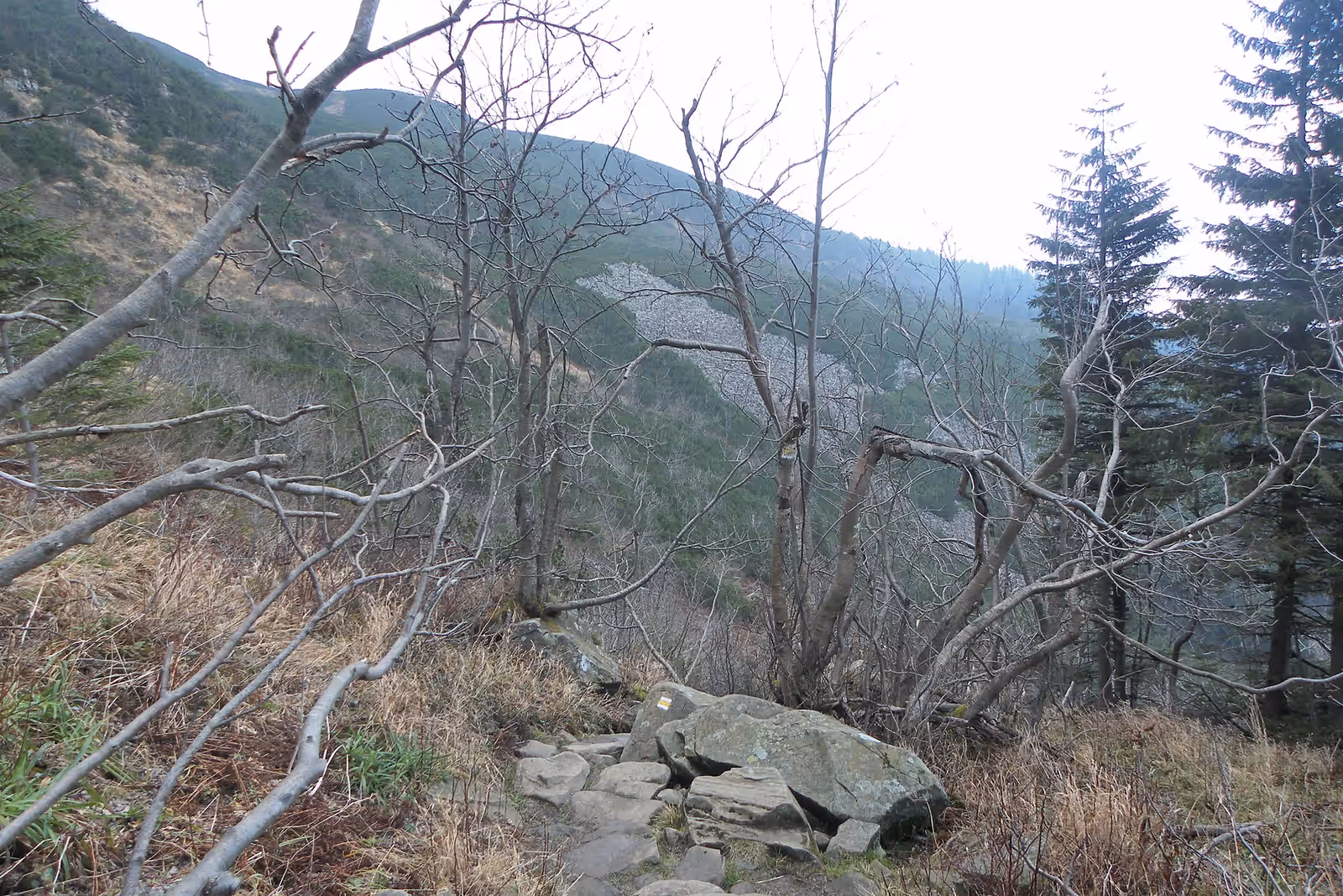 Trekking in Babia Góra
