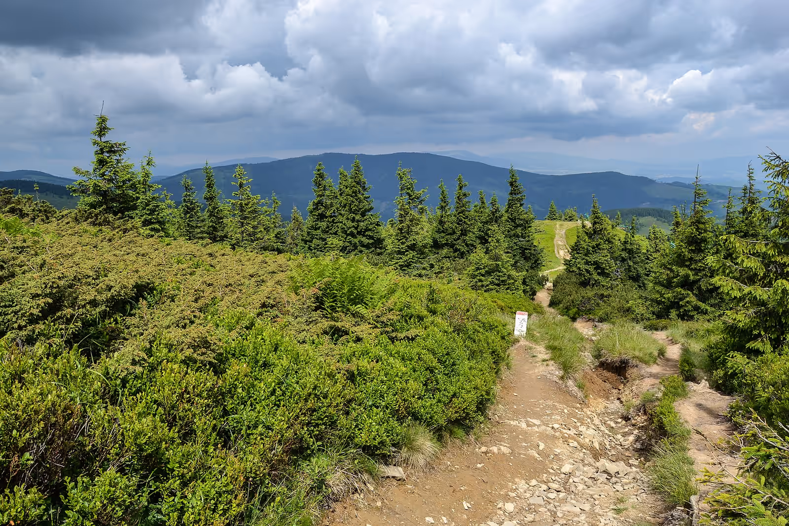 Trekking in Beskid Żywiecki
