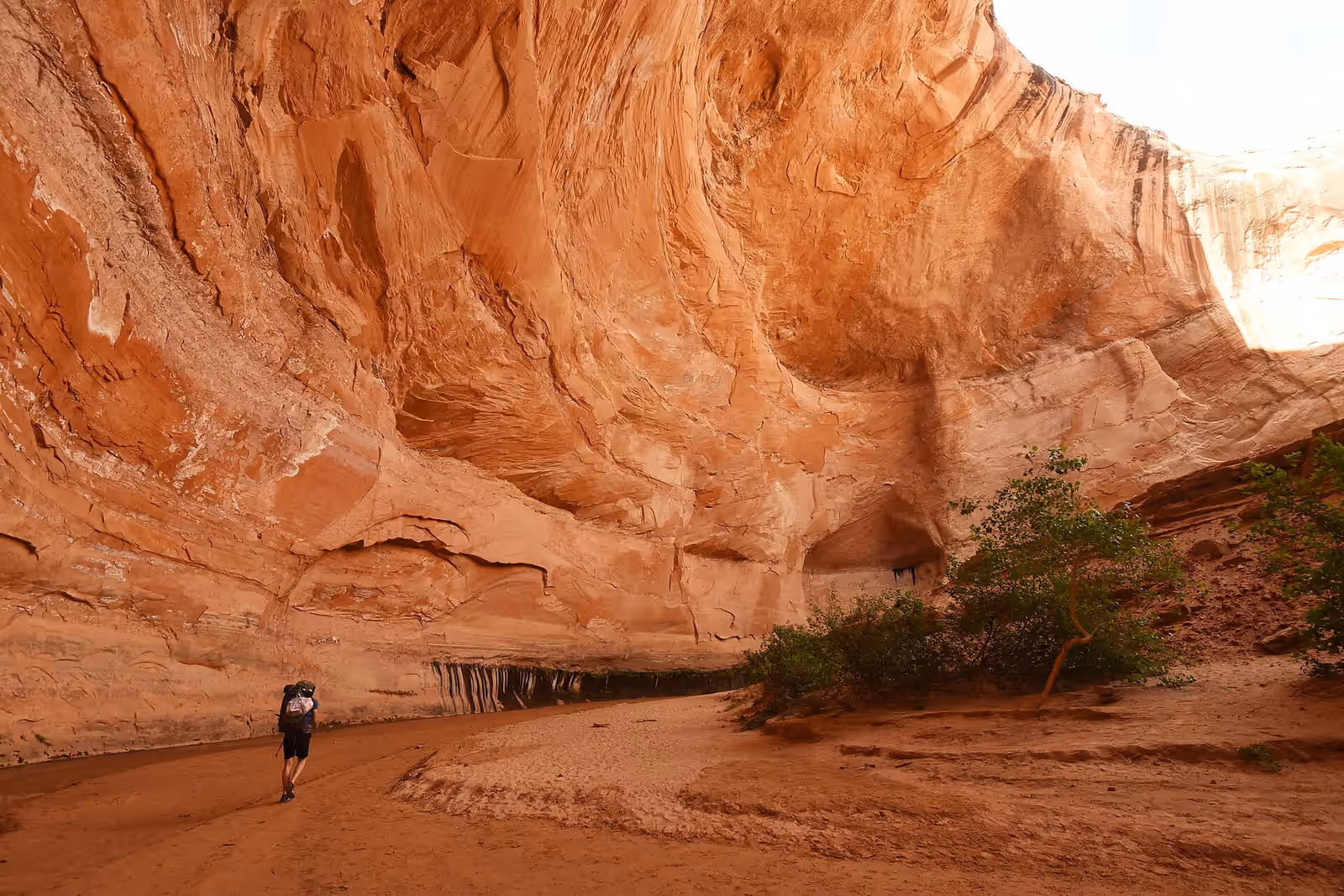 Trekking in Escalante