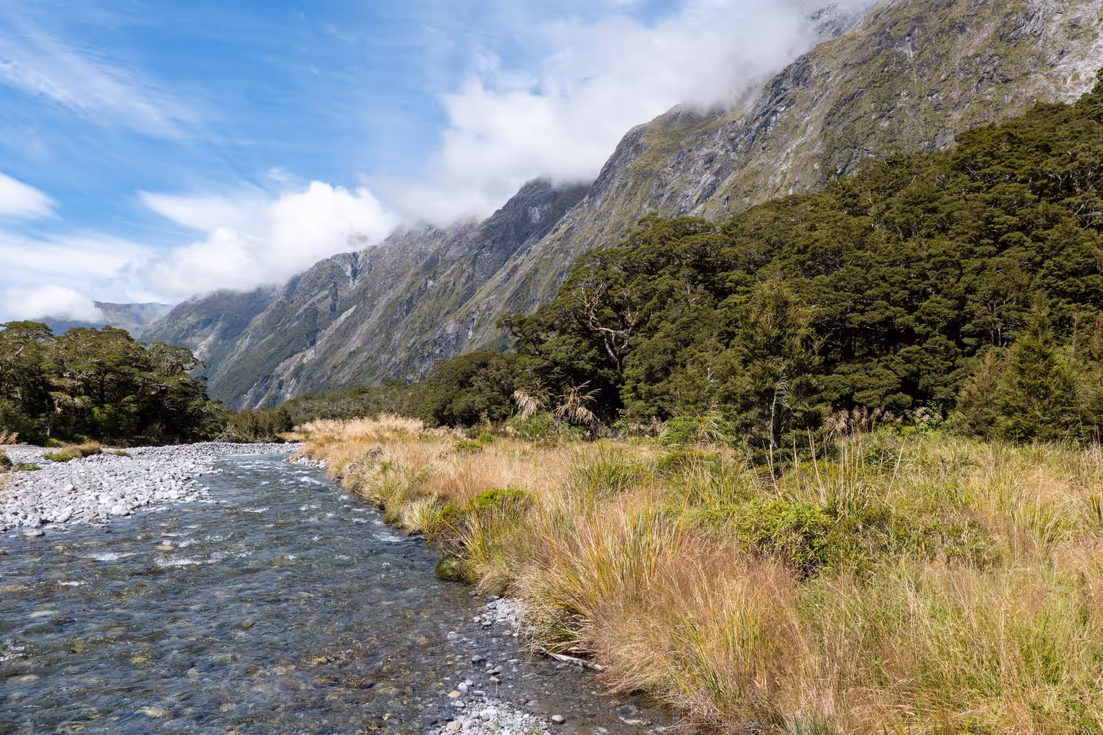 Trekking in Milford Track