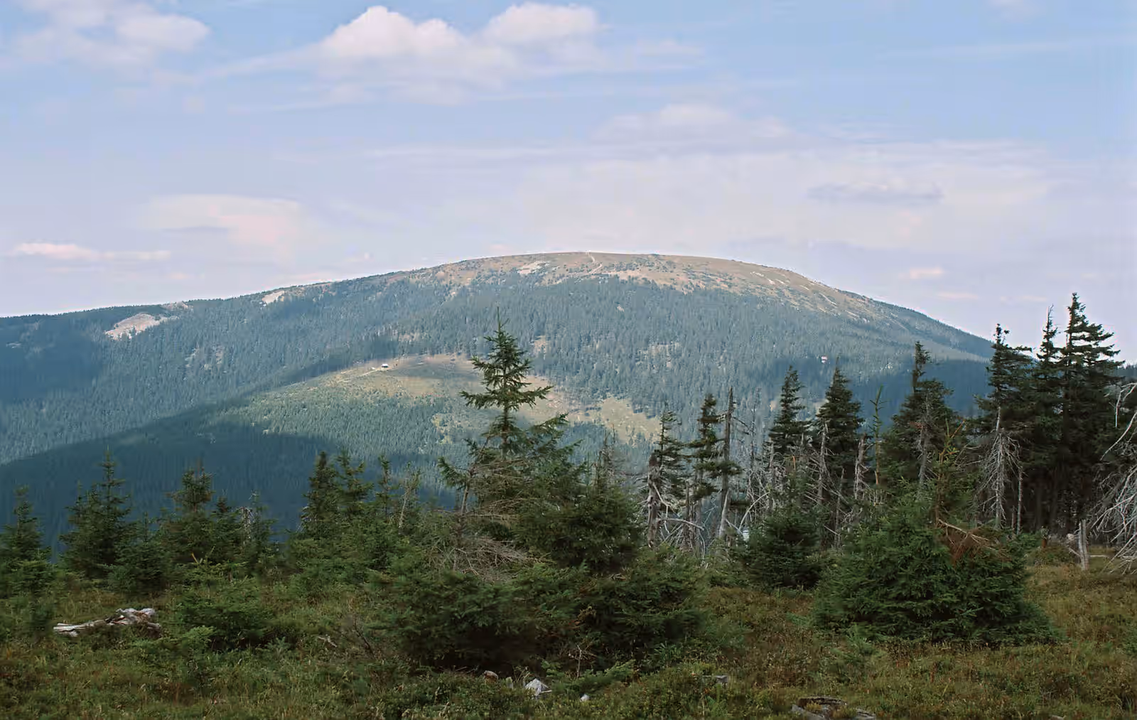 Trekking in Śnieżnik