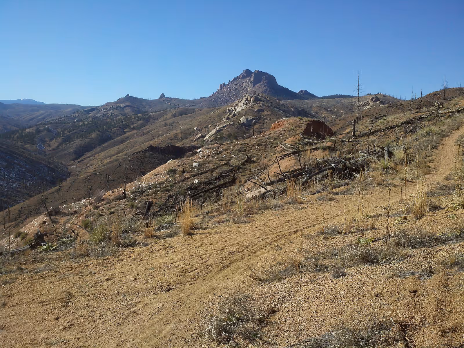 Trekking in the Colorado Trail