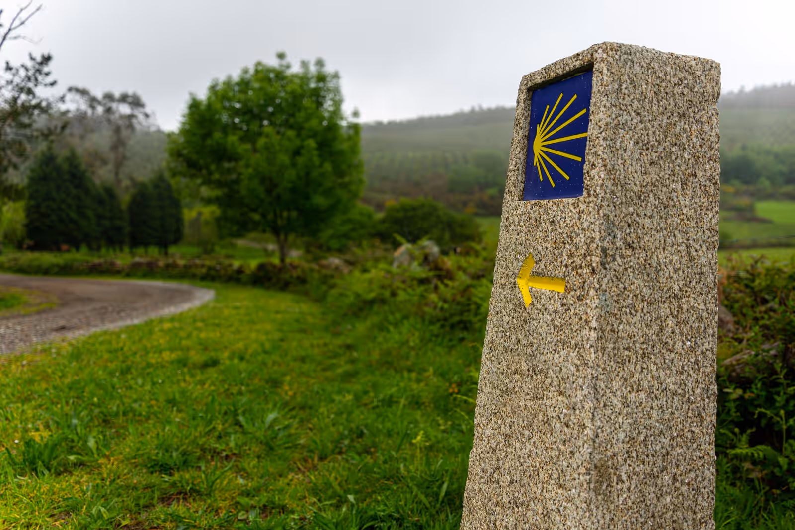 Walking in Camino Francés