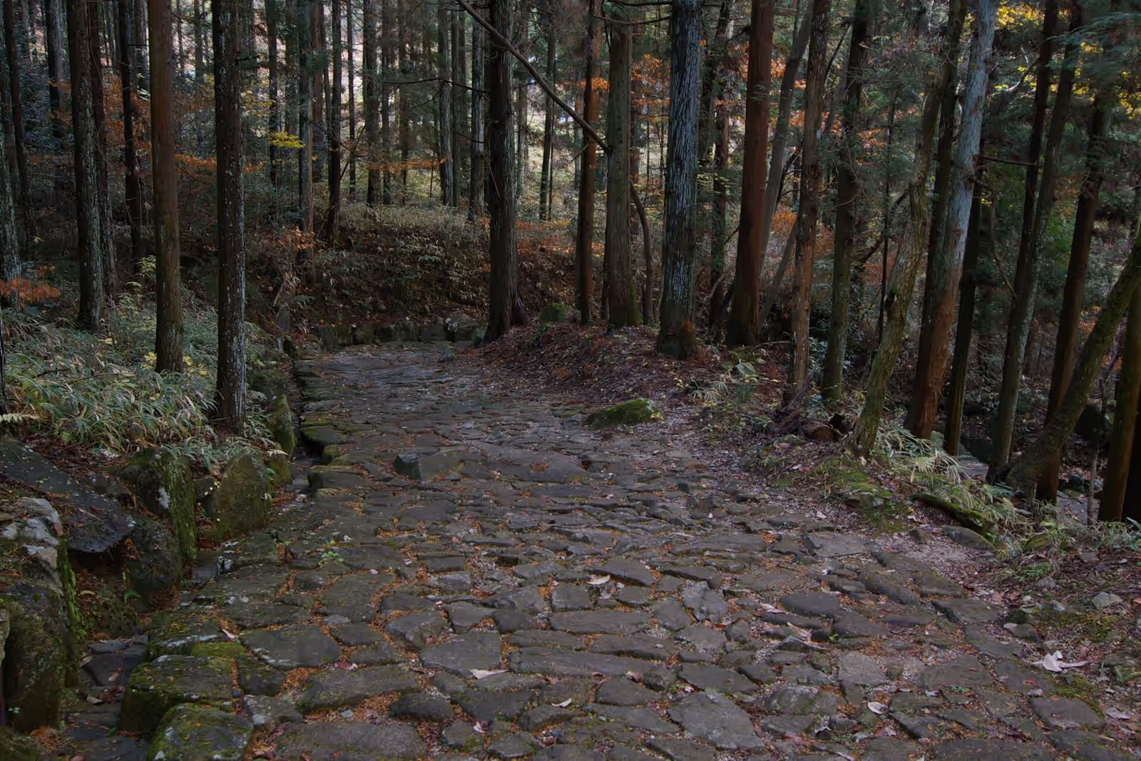 Walking in Nakasendo
