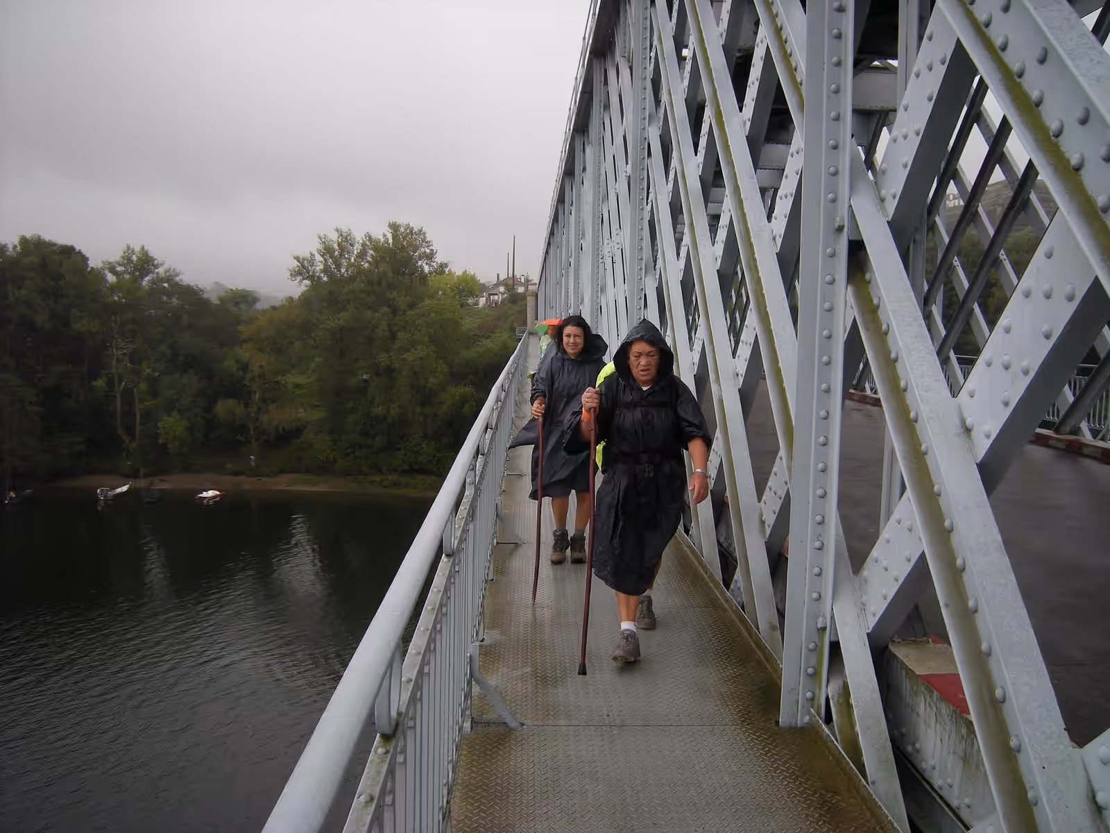 Walking in the Camino Portugués