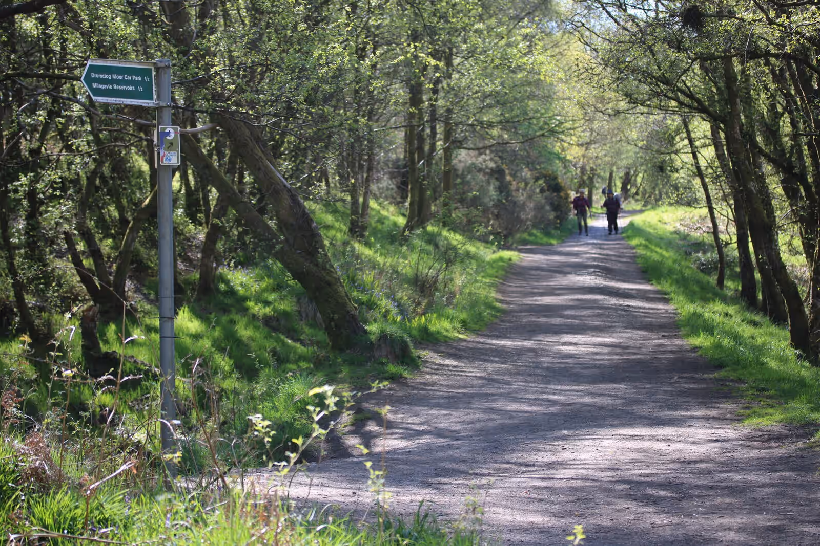Walking in the West Highland Way