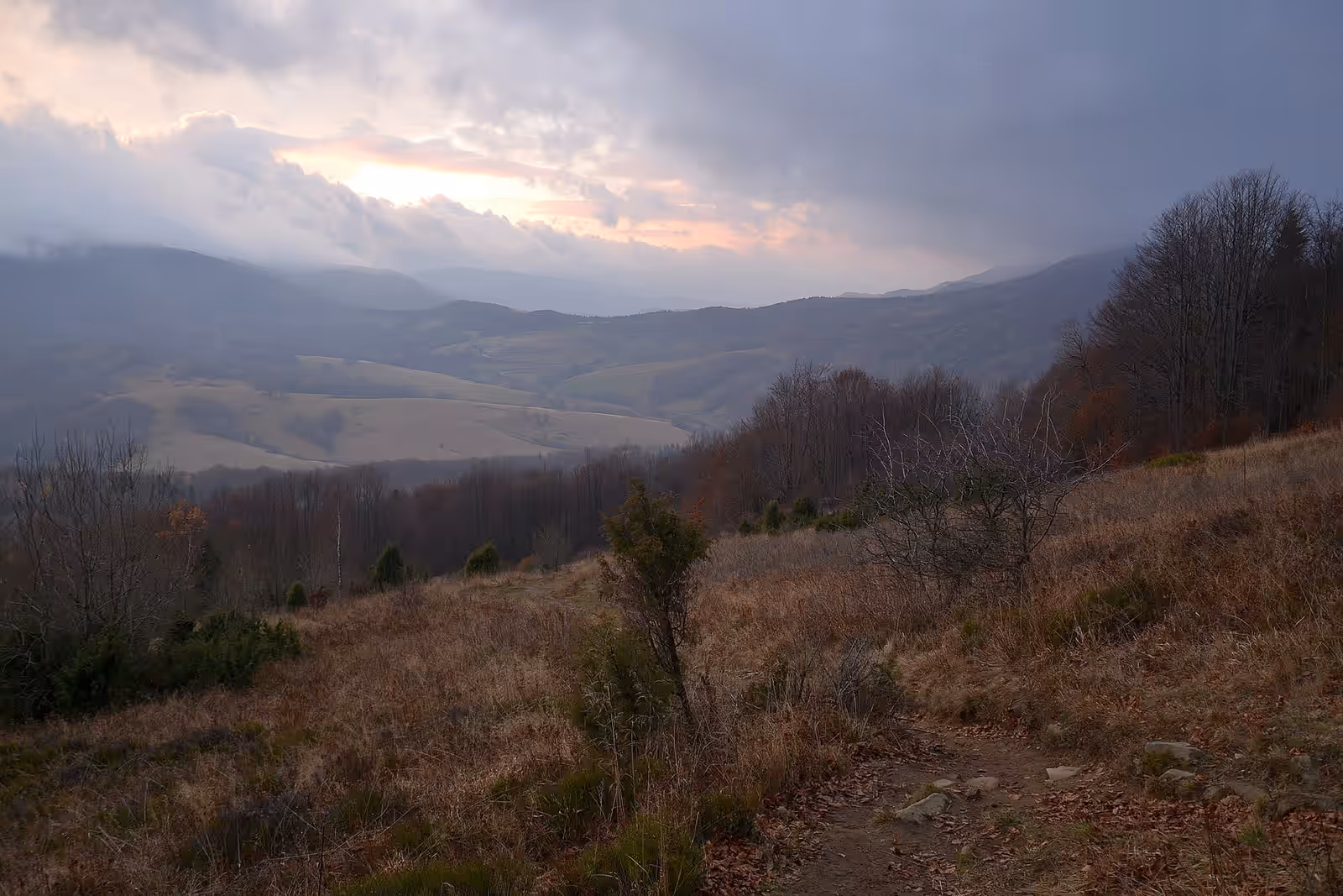 Wildlife watching in Bieszczady