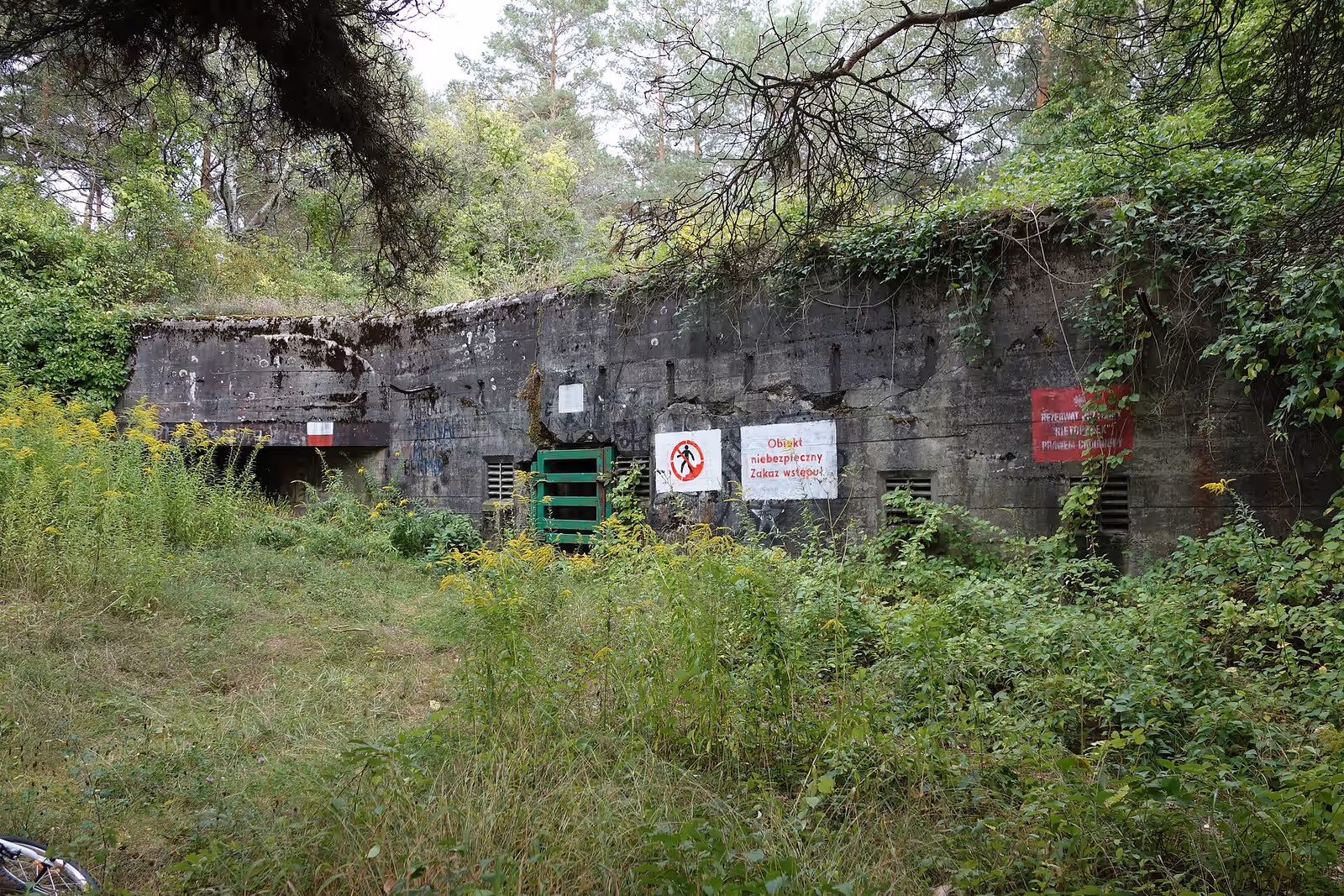 Wildlife watching in Nietoperek