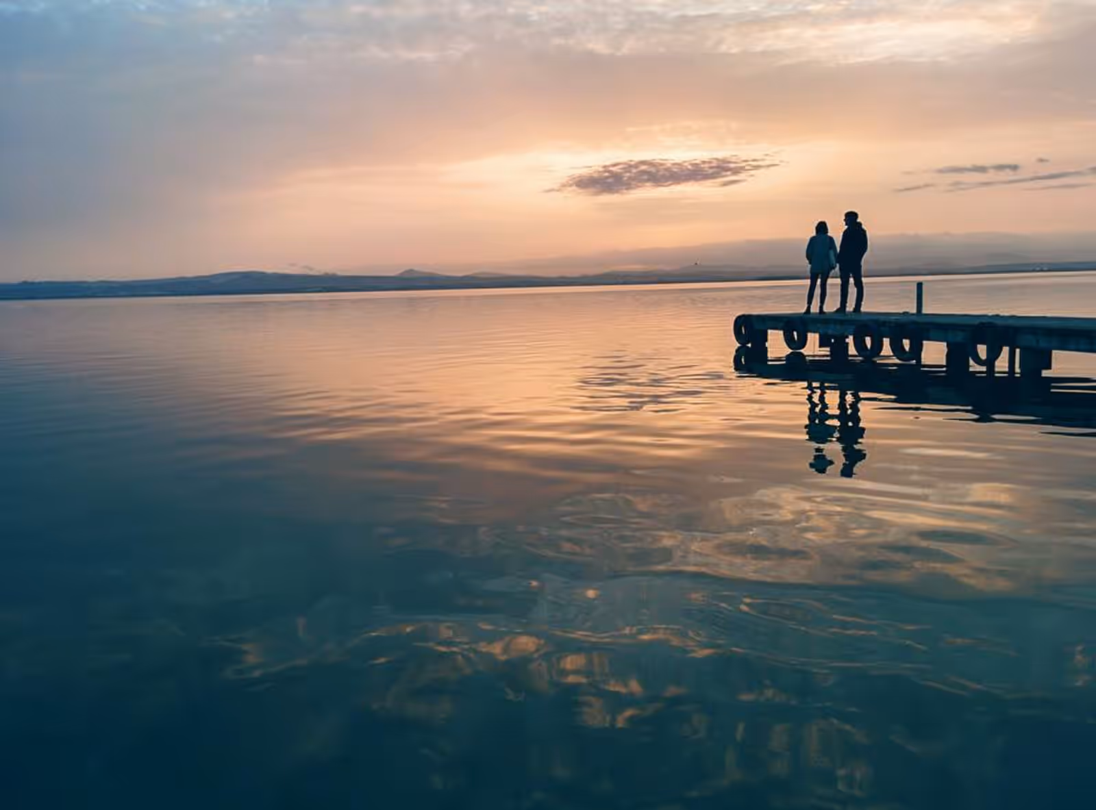 Wildlife watching in the Albufera